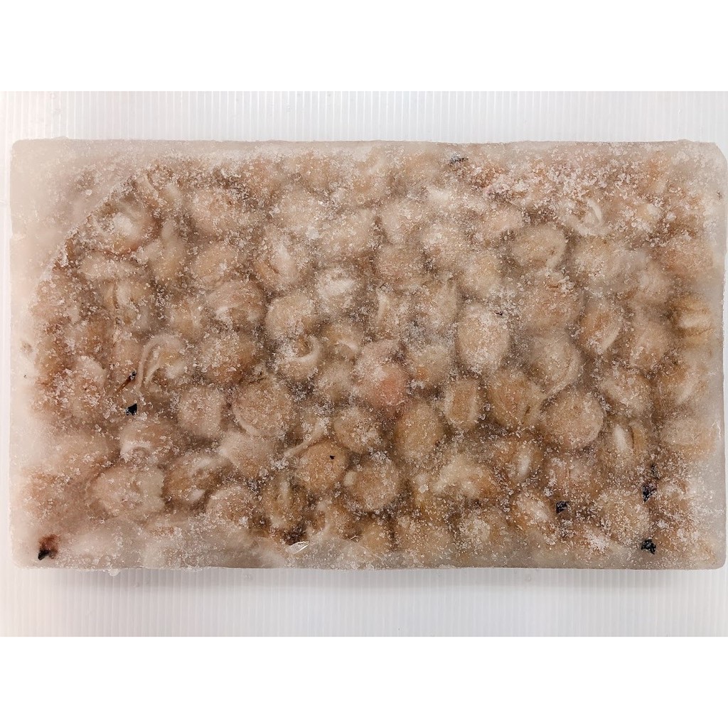 龍珠