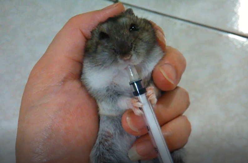 嚴選穀粉（加強照顧用）