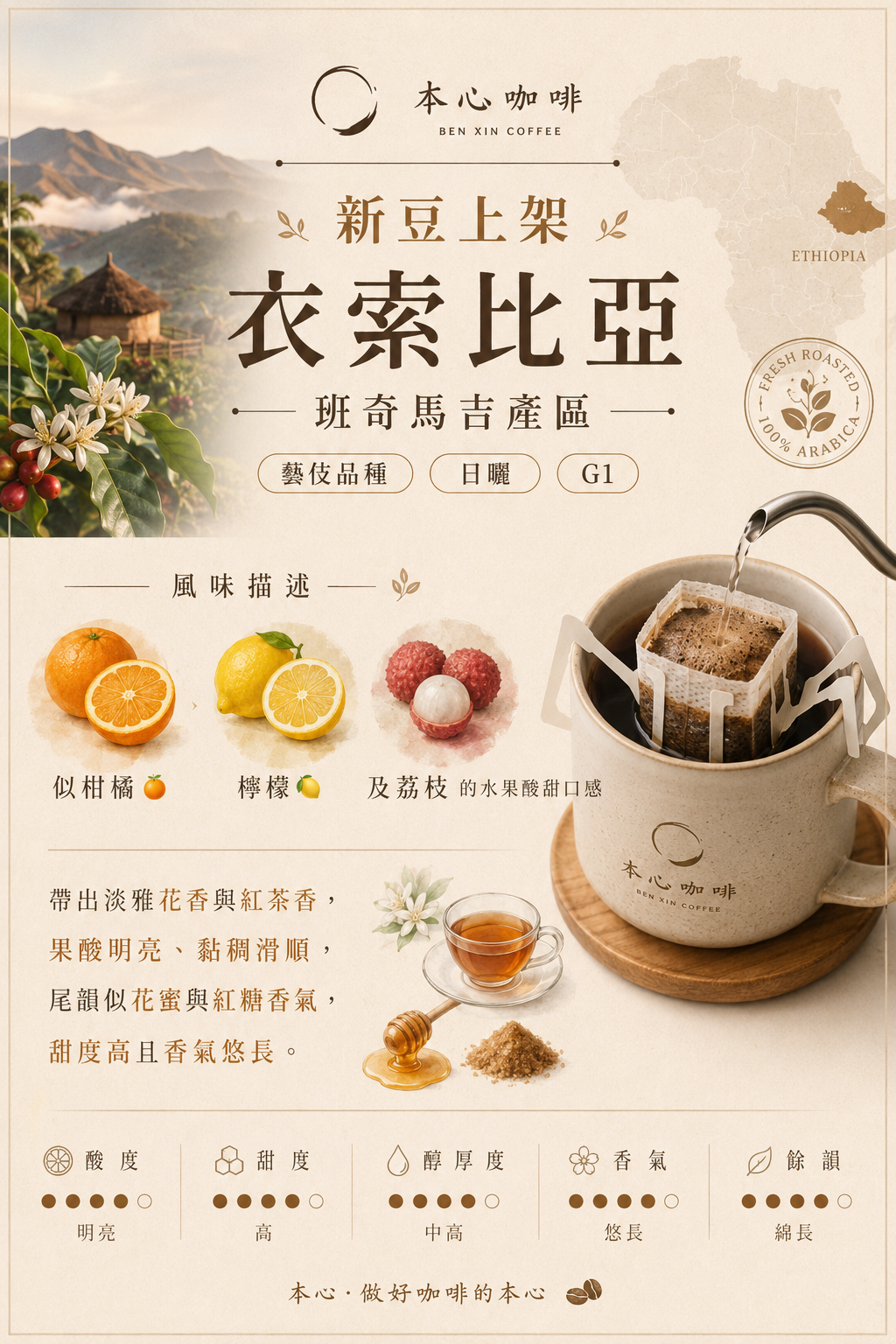 ⚠️低庫存 衣索比亞 班奇瑪吉 藝伎品種 G1 日曬 G1