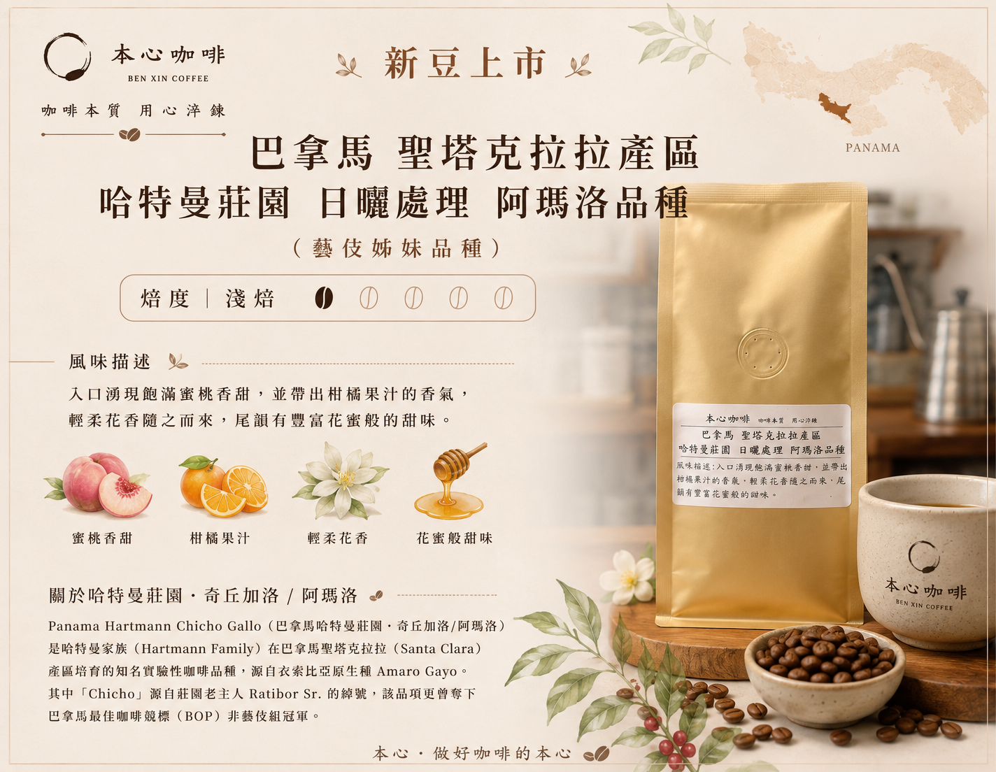 🌟🌟新豆上架 巴拿馬 聖塔克拉拉產區 哈特曼莊園 日曬處理 阿瑪洛品種