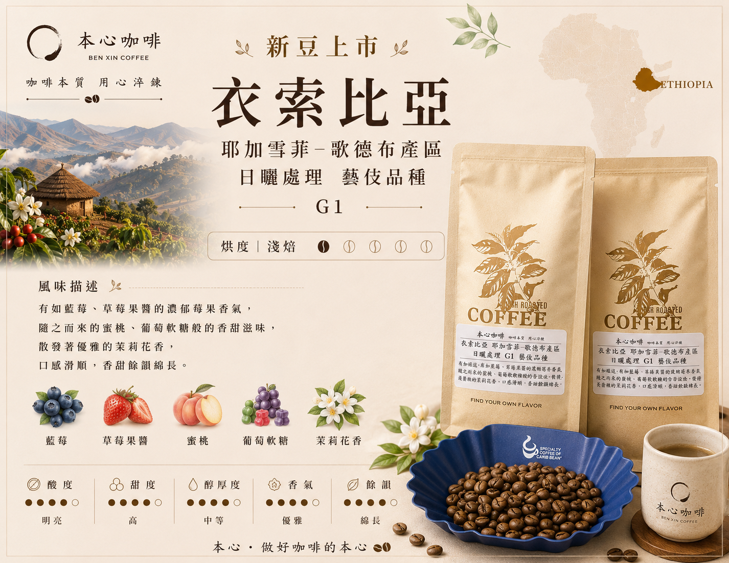 🌟🌟新豆上架 衣索比亞 耶加雪菲 歌德布產區 藝伎品種 G1 日曬 G1