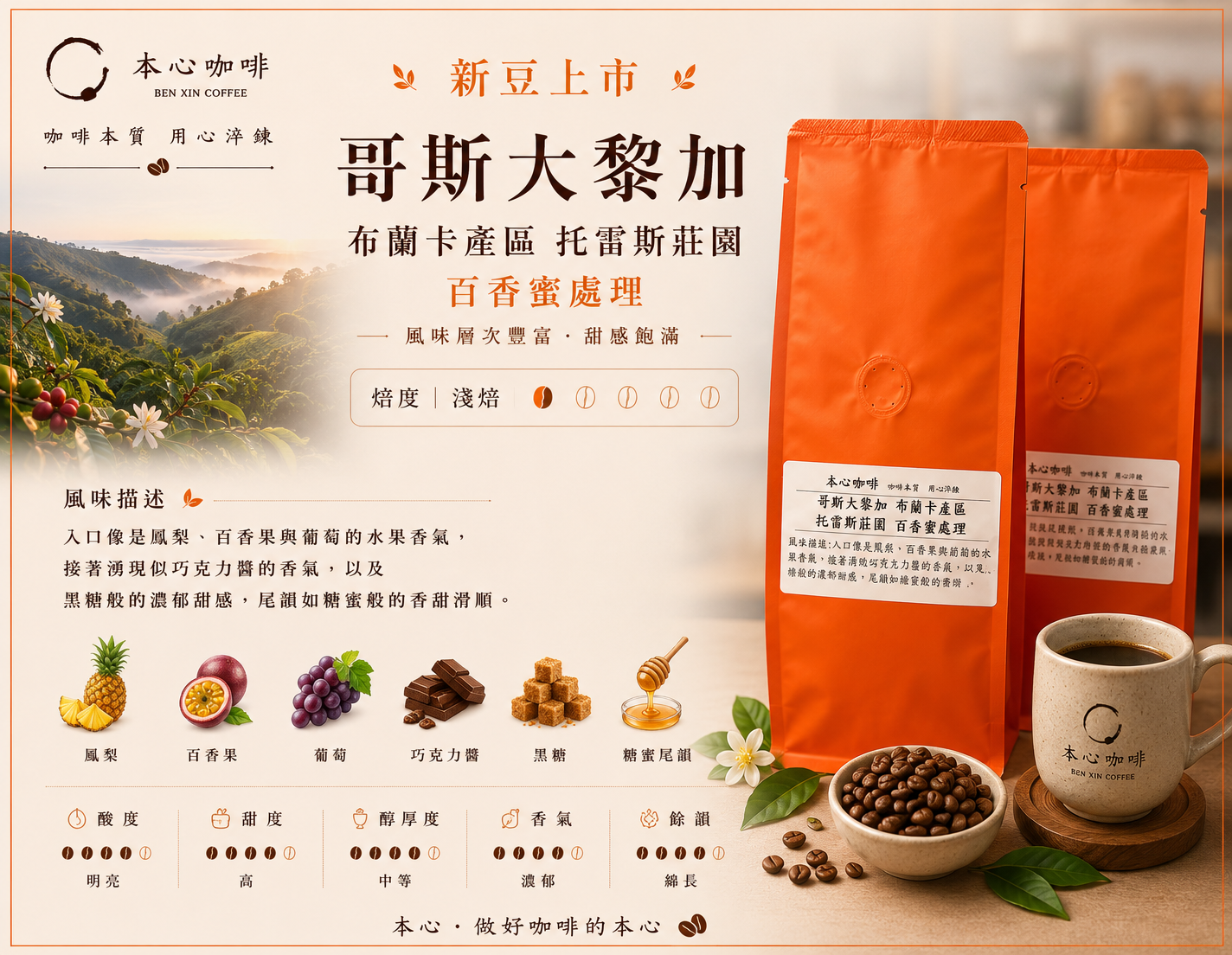 🌟🌟新豆上架 哥斯大黎加 布蘭卡產區 托雷斯莊園 百香蜜處理