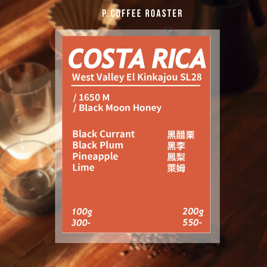 P. Coffee Roaster自家烘焙 哥斯大黎加 蜜熊莊園 SL28 黑月蜜處理（淺焙）