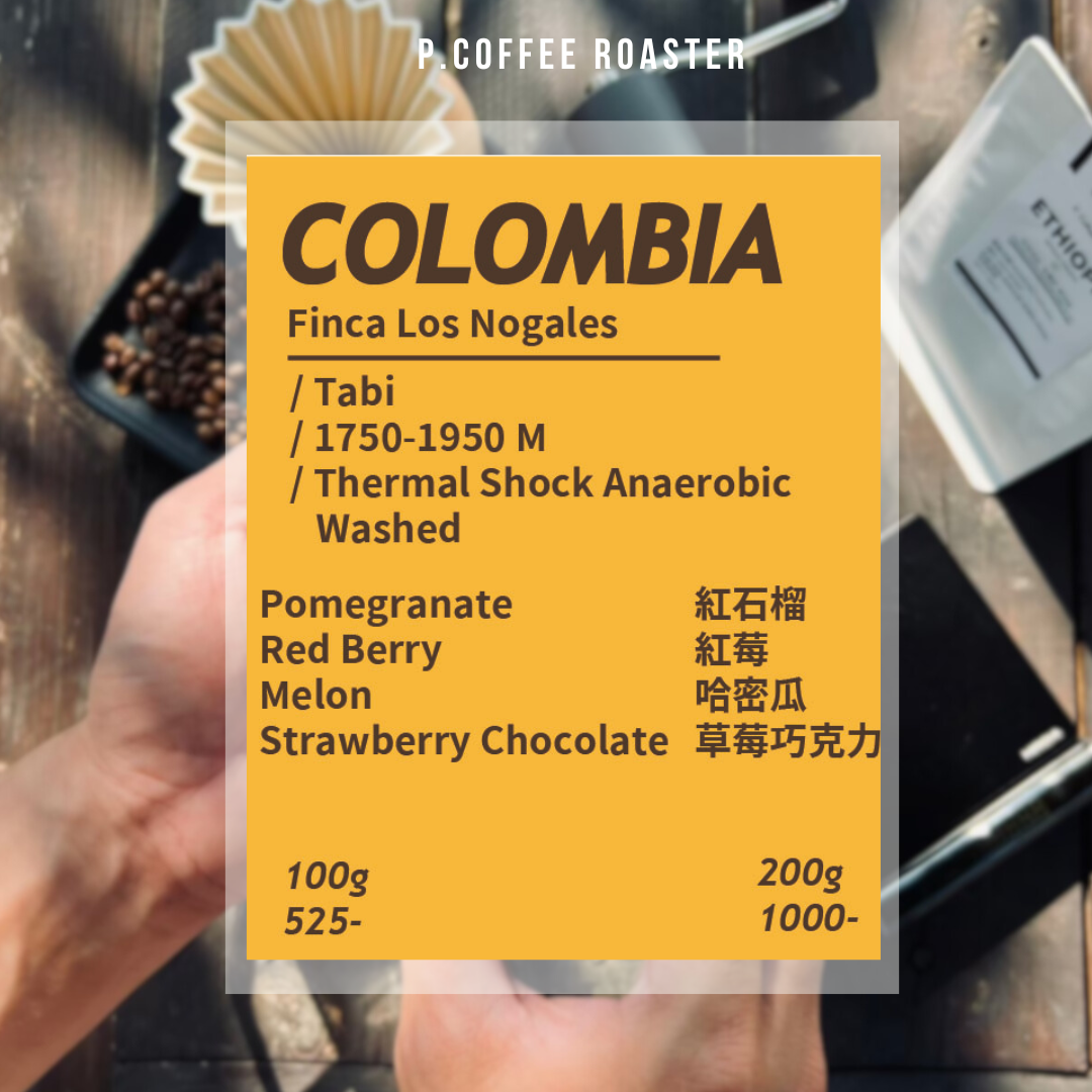 P. Coffee Roaster自家烘焙 哥倫比亞 諾加萊斯莊園 熱衝擊厭氧水洗（淺烘焙）