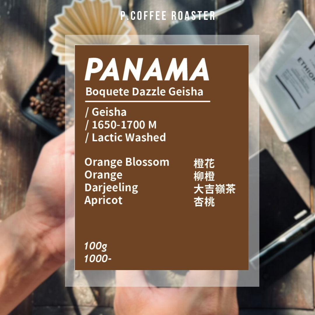 P. Coffee Roaster自家烘焙 巴拿馬 璀璨藝伎 乳酸菌水洗（淺烘焙）
