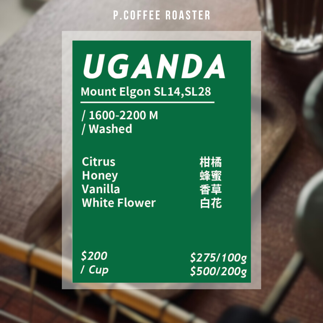 P. Coffee Roaster自家烘焙 烏干達 艾爾宮山 水洗（淺烘焙）