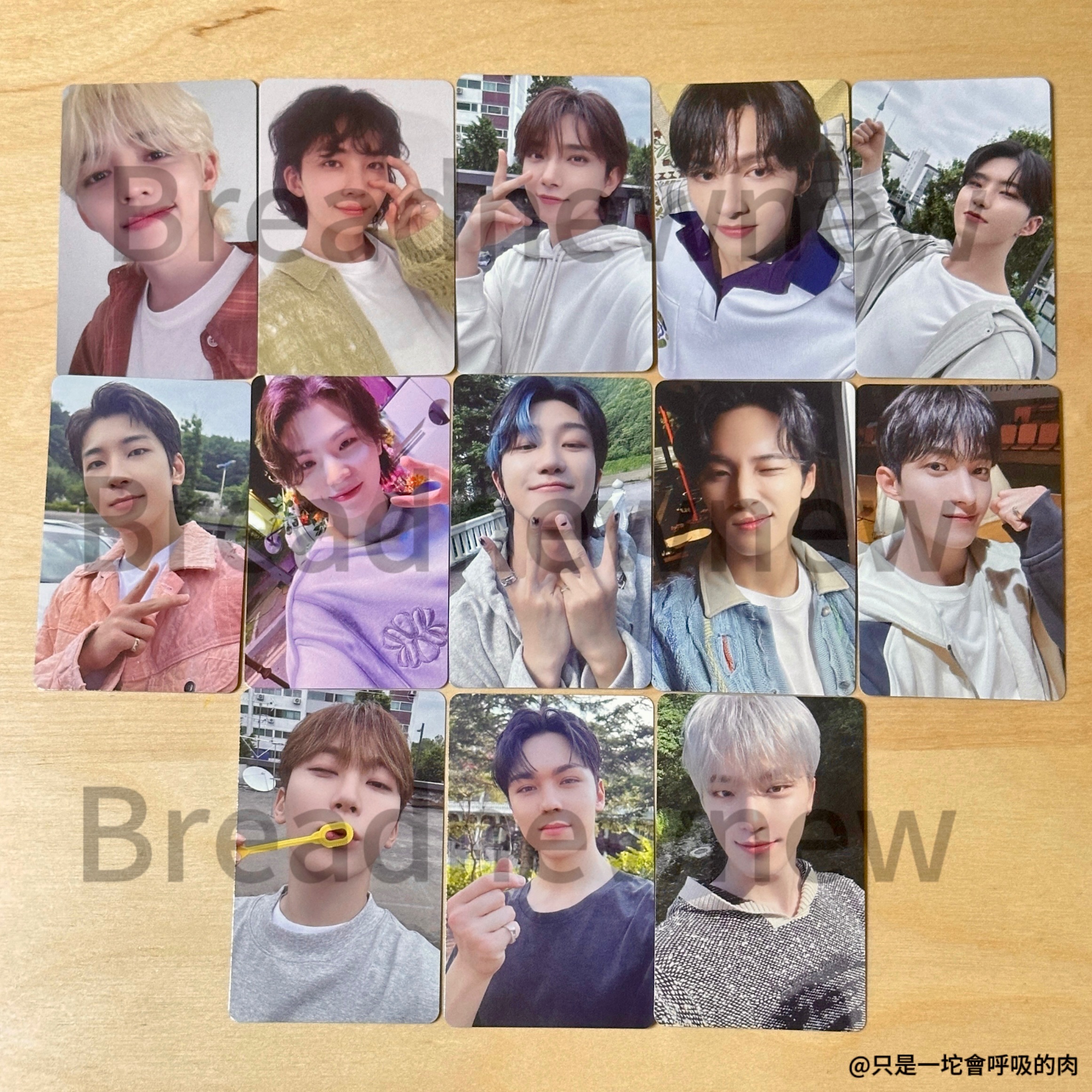 【愛知場限】迷十一 WVS JP 環球 日本場限