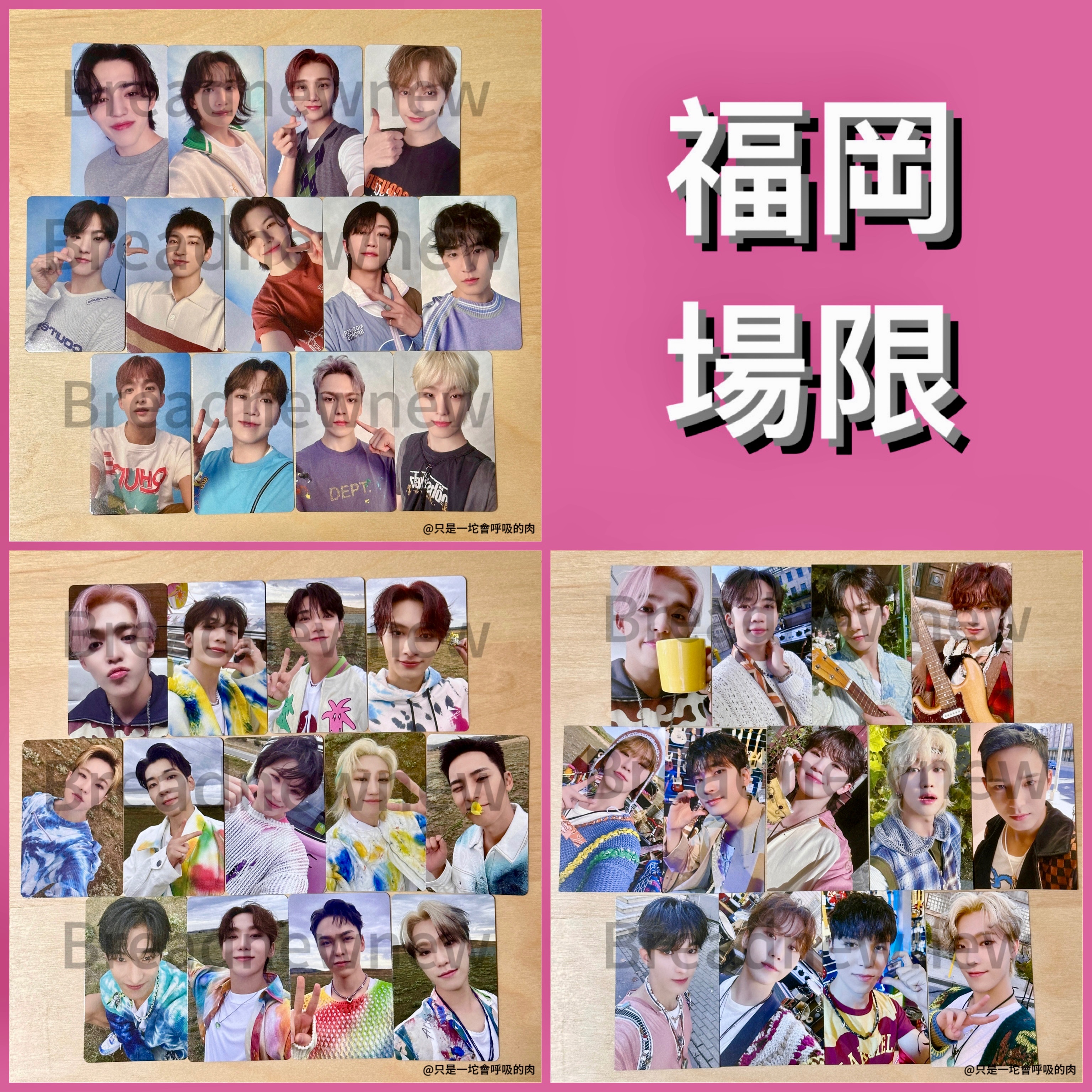 【福岡場限】迷十一 日專 WVS JP 環球 日本場限