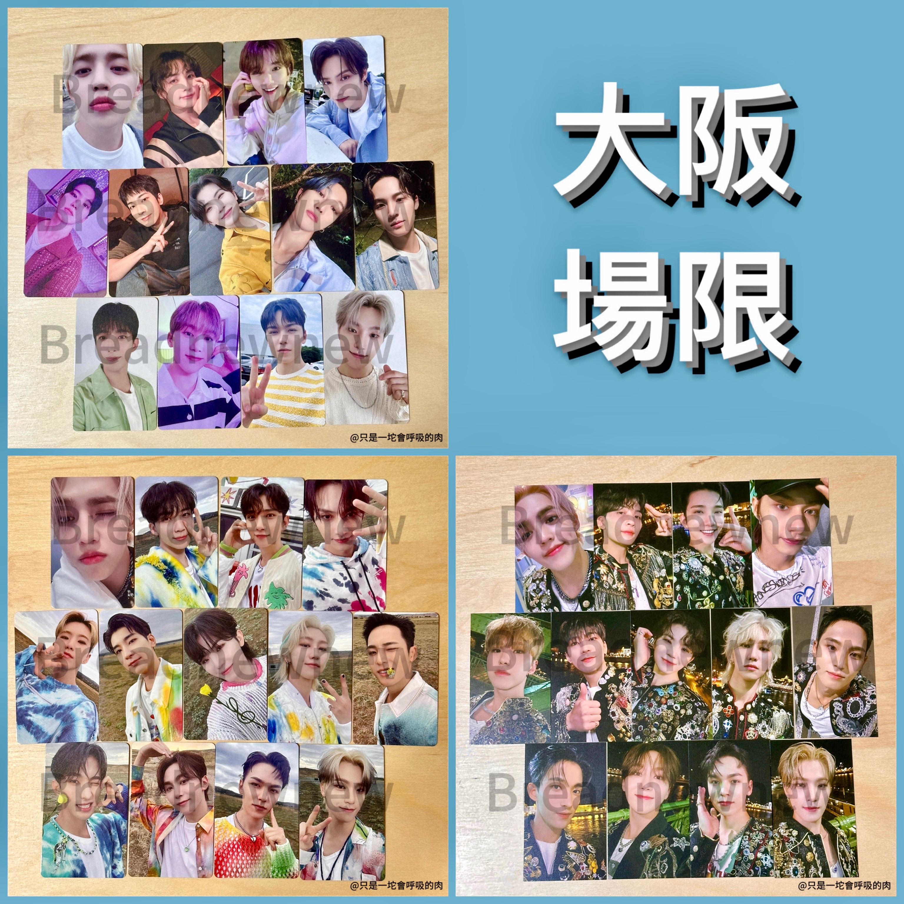 【大阪場限】迷十一 日專 WVS JP 環球 日本場限