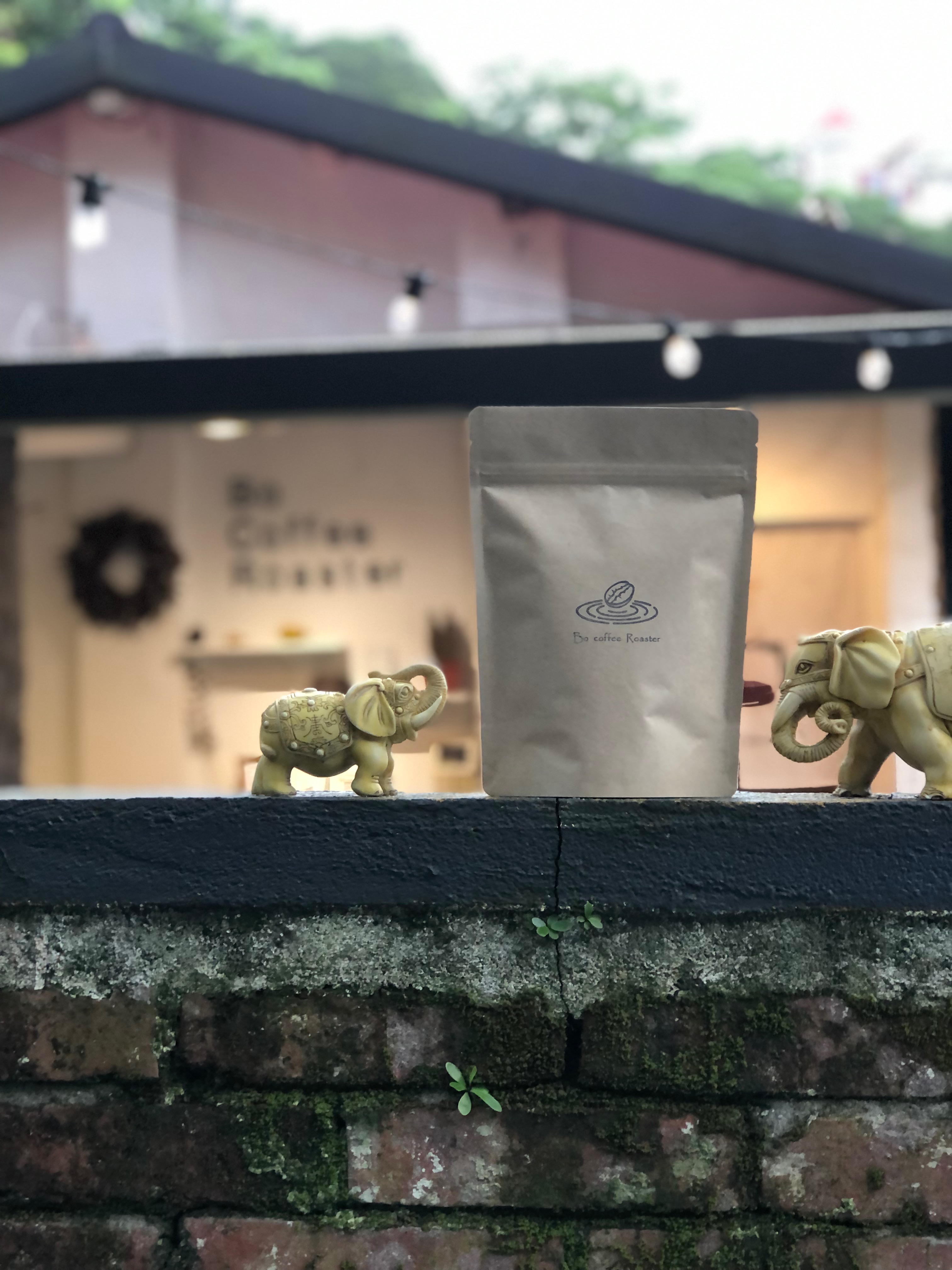 哥倫比亞 路易莎莊園 水果蜜處理 咖啡豆