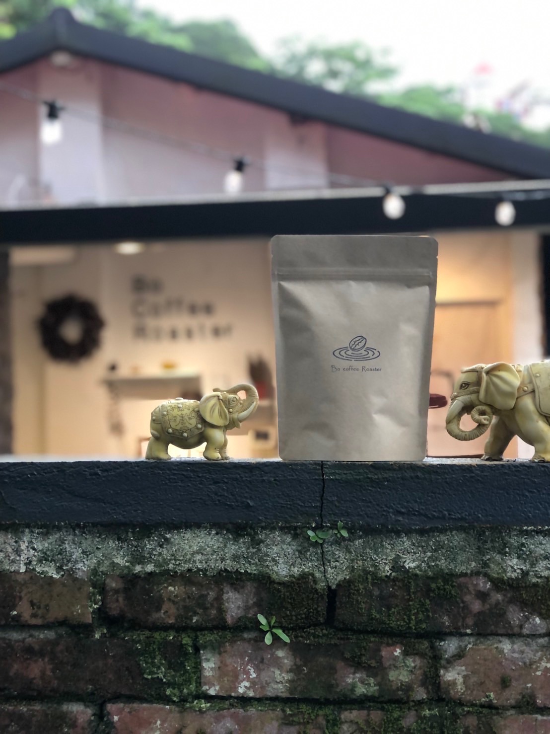 衣索比亞 耶加雪菲 塔利亞藝伎 水洗 咖啡豆