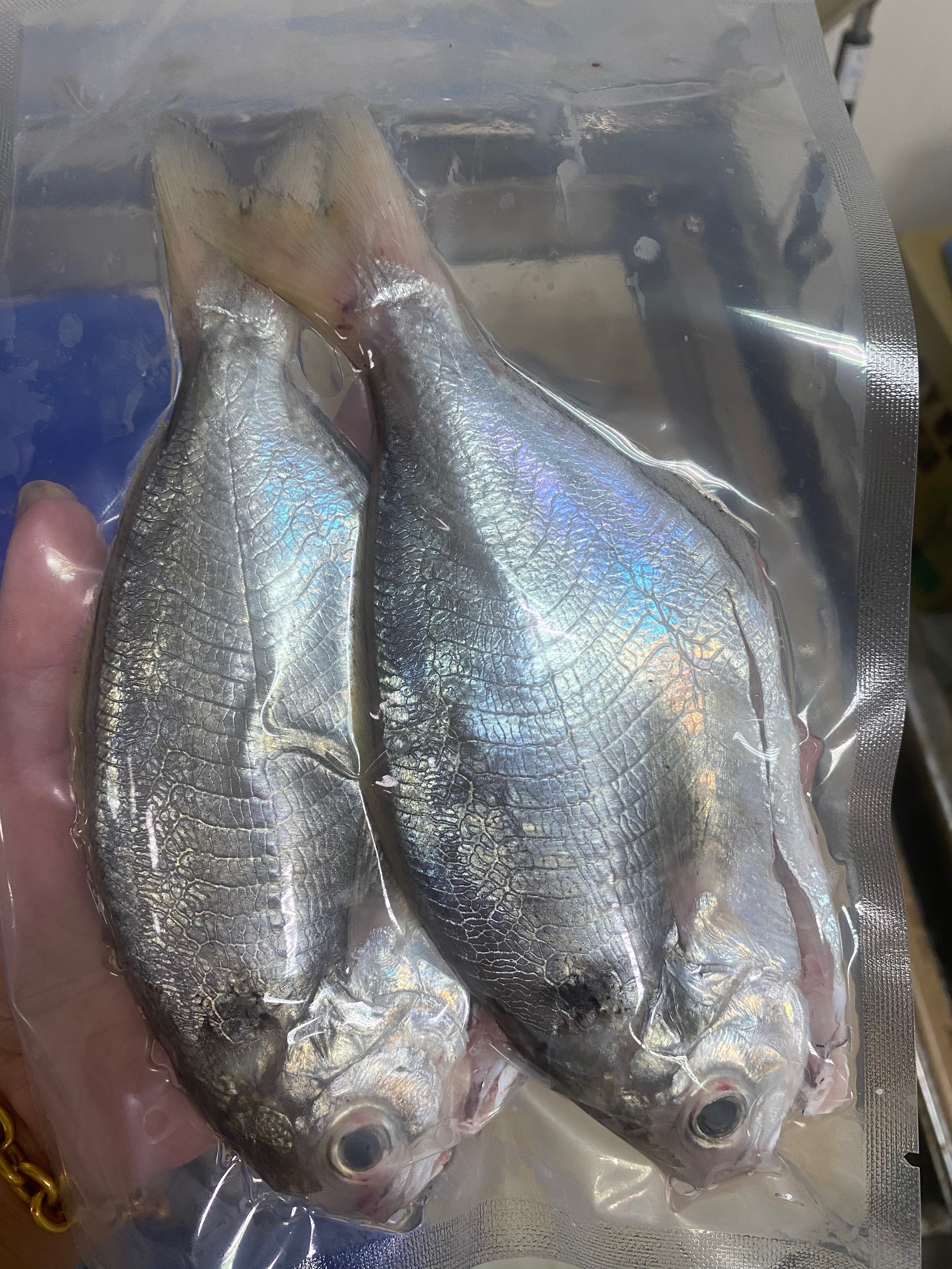 澎湖肉魚