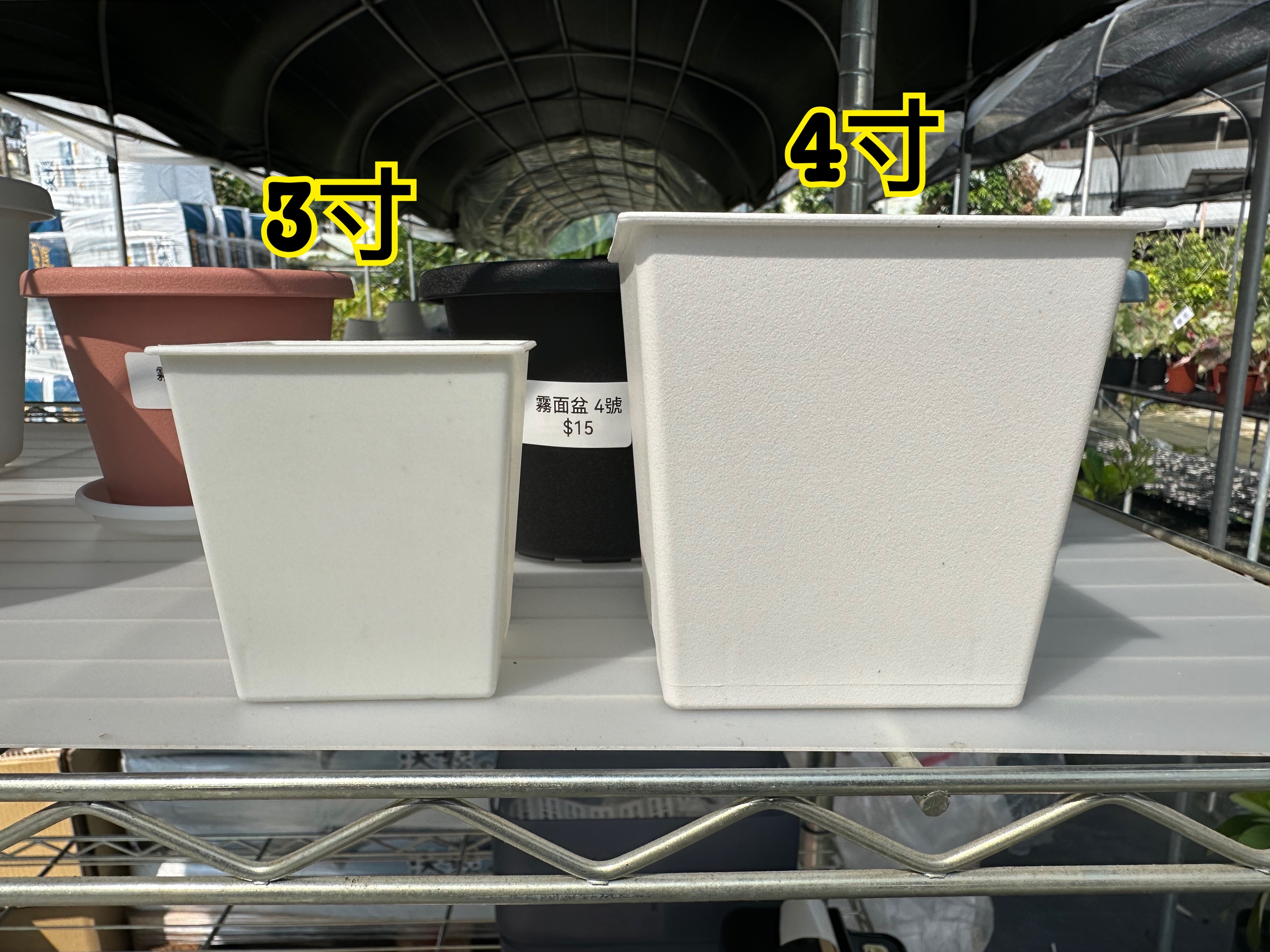 華順農園 3寸4寸方盆跟集水盤
