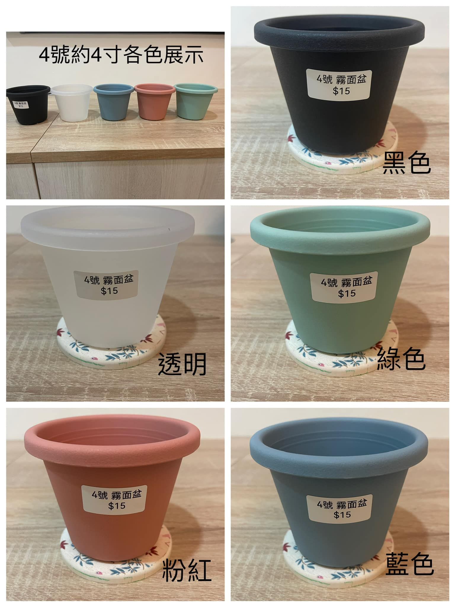 華順農園  4號霧面盆跟集水盤