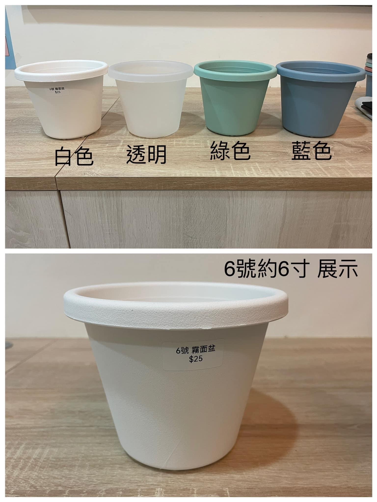 6號霧面盆（約6寸）