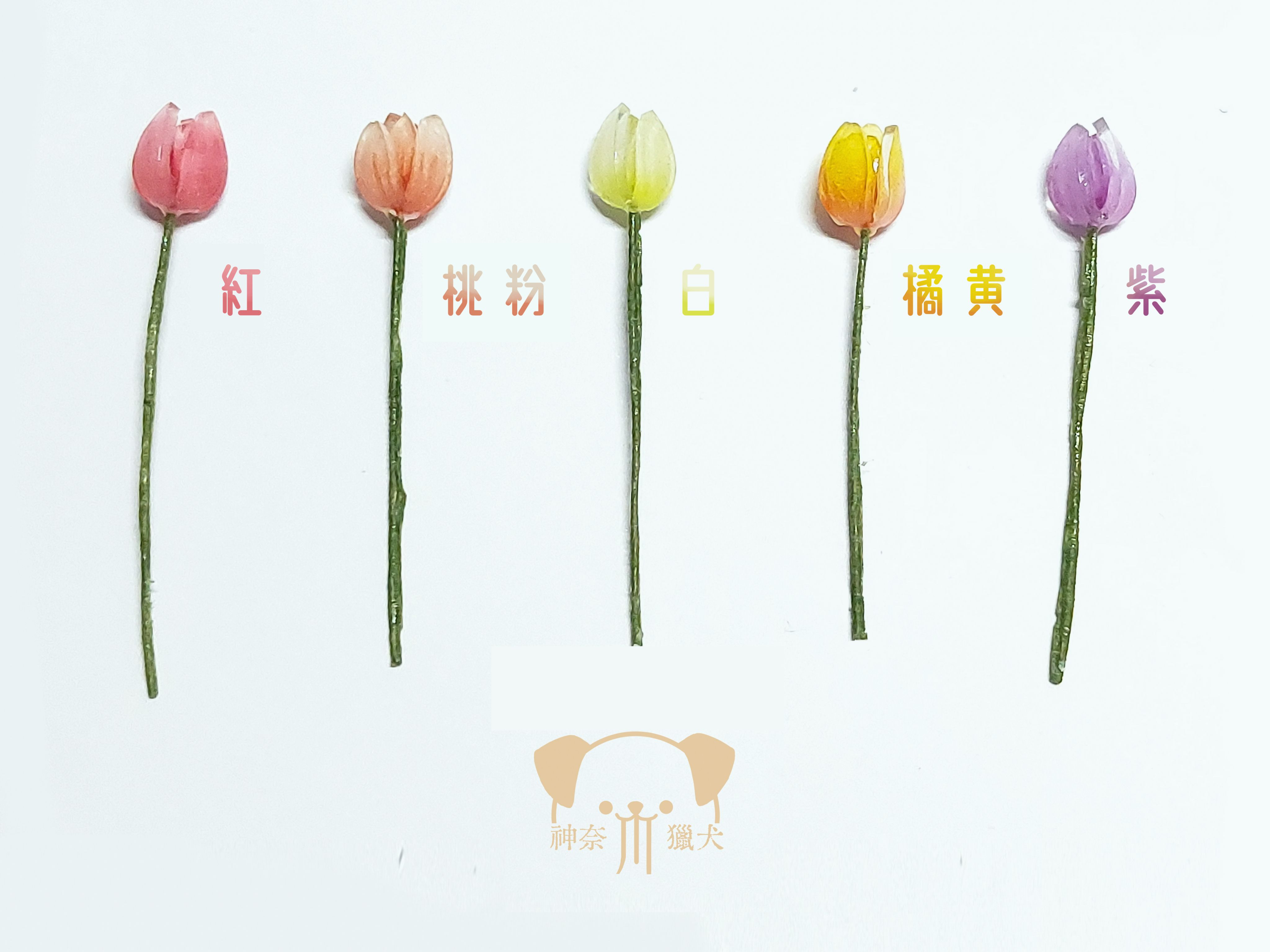 鬱金香
