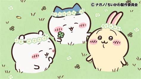 ちいかわ 非娃區