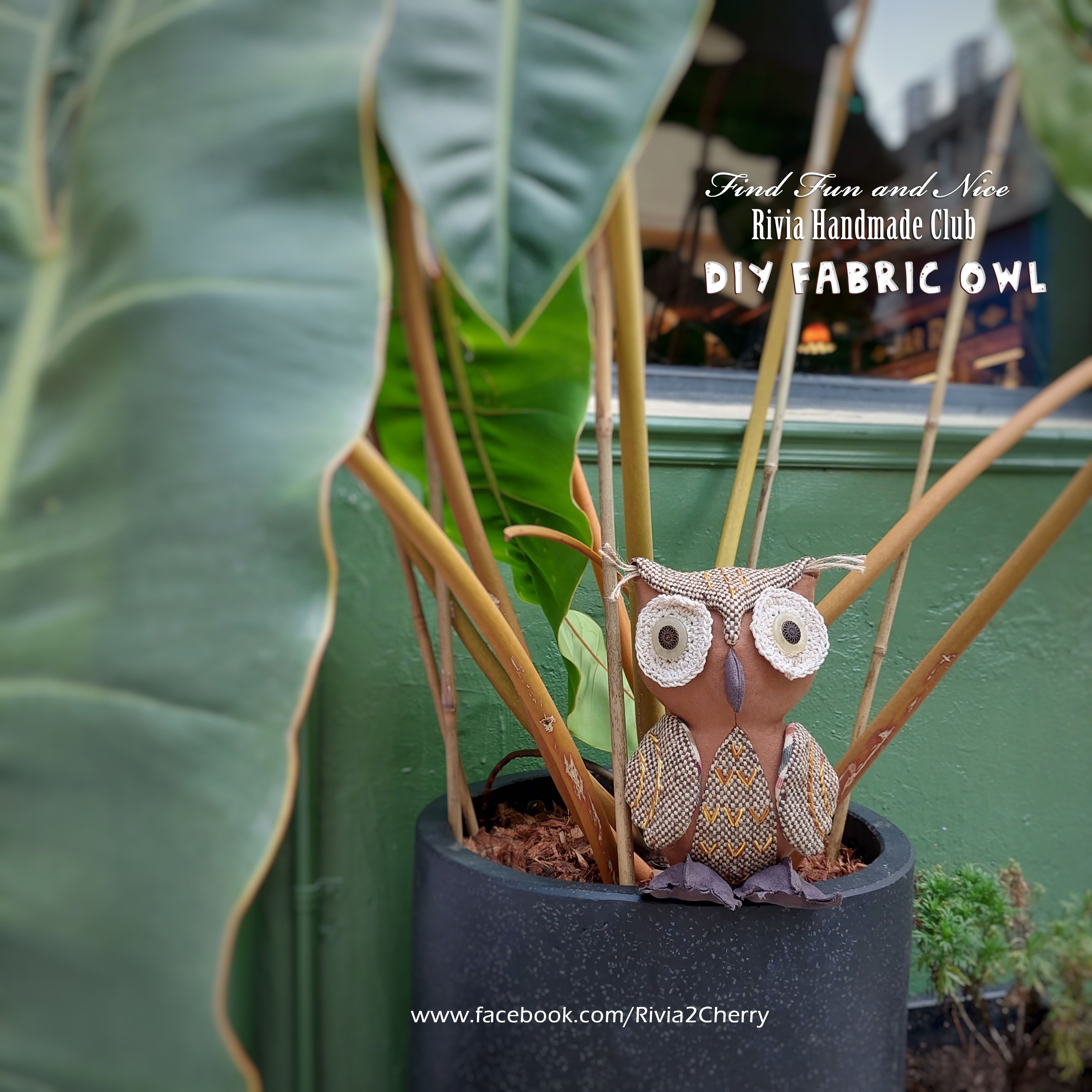 咕嗚貓頭鷹（DIY製作圖紙本）