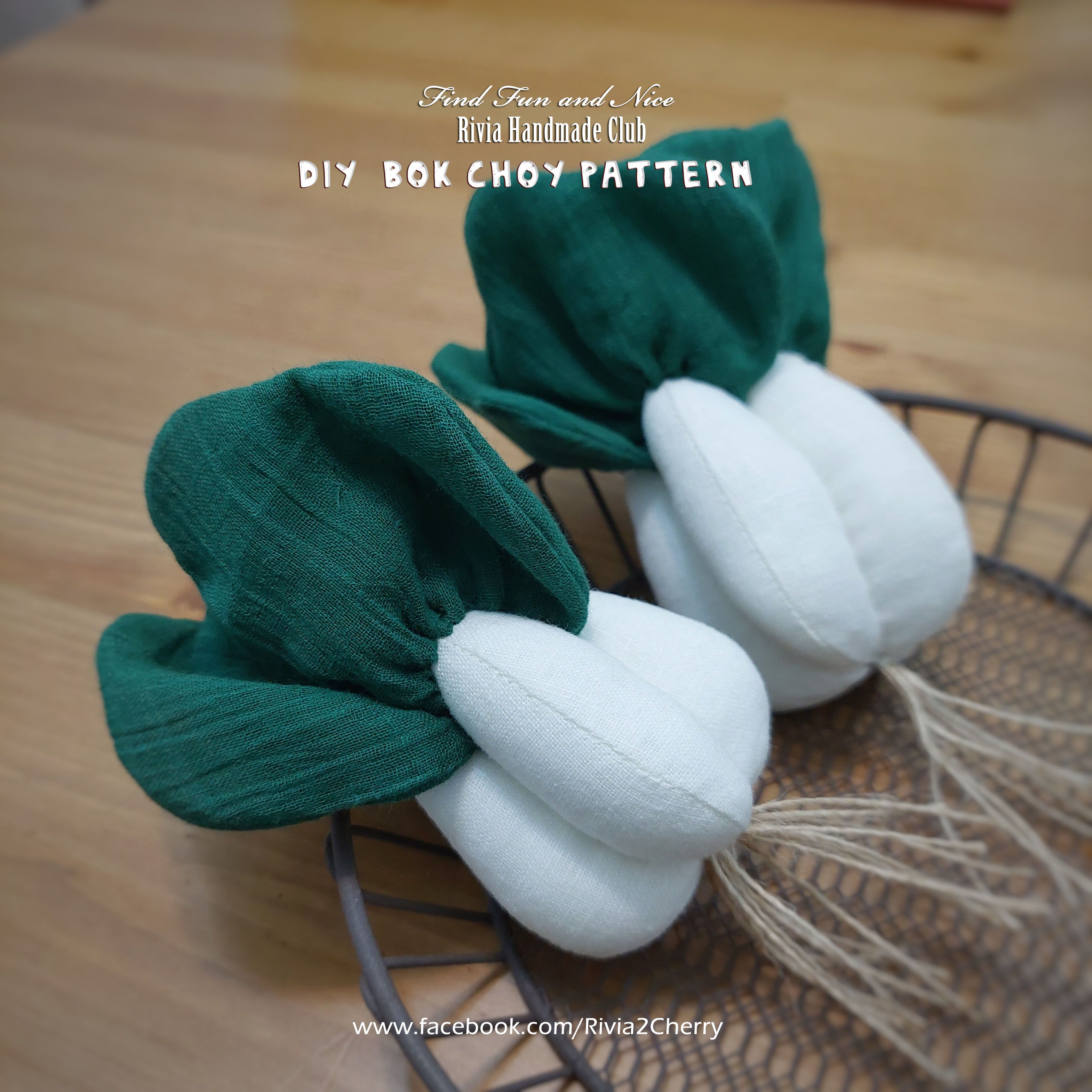 視覺系蔬果-白菜百財（DIY製作圖紙本）