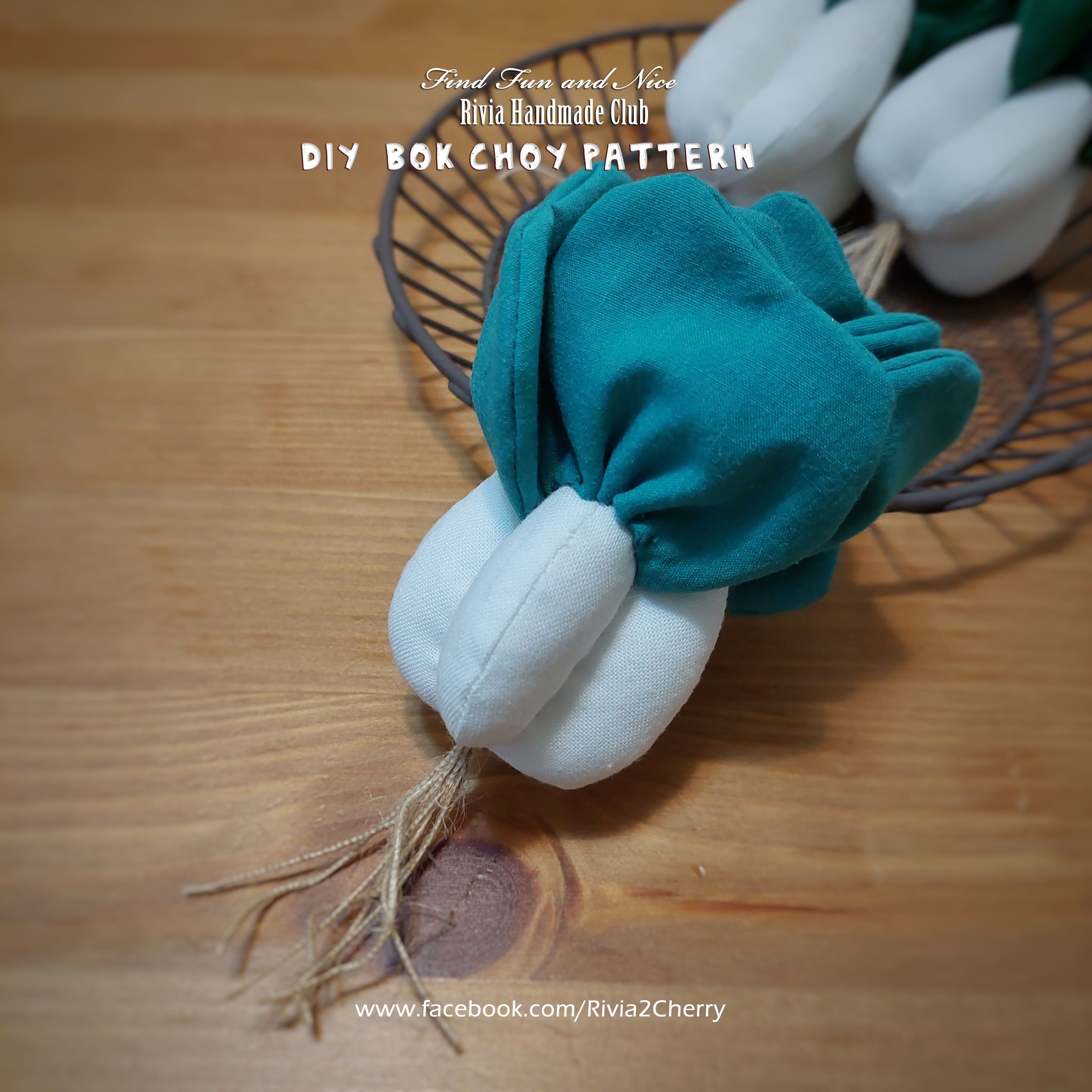 視覺系蔬果-白菜百財（材料包含製作圖紙）