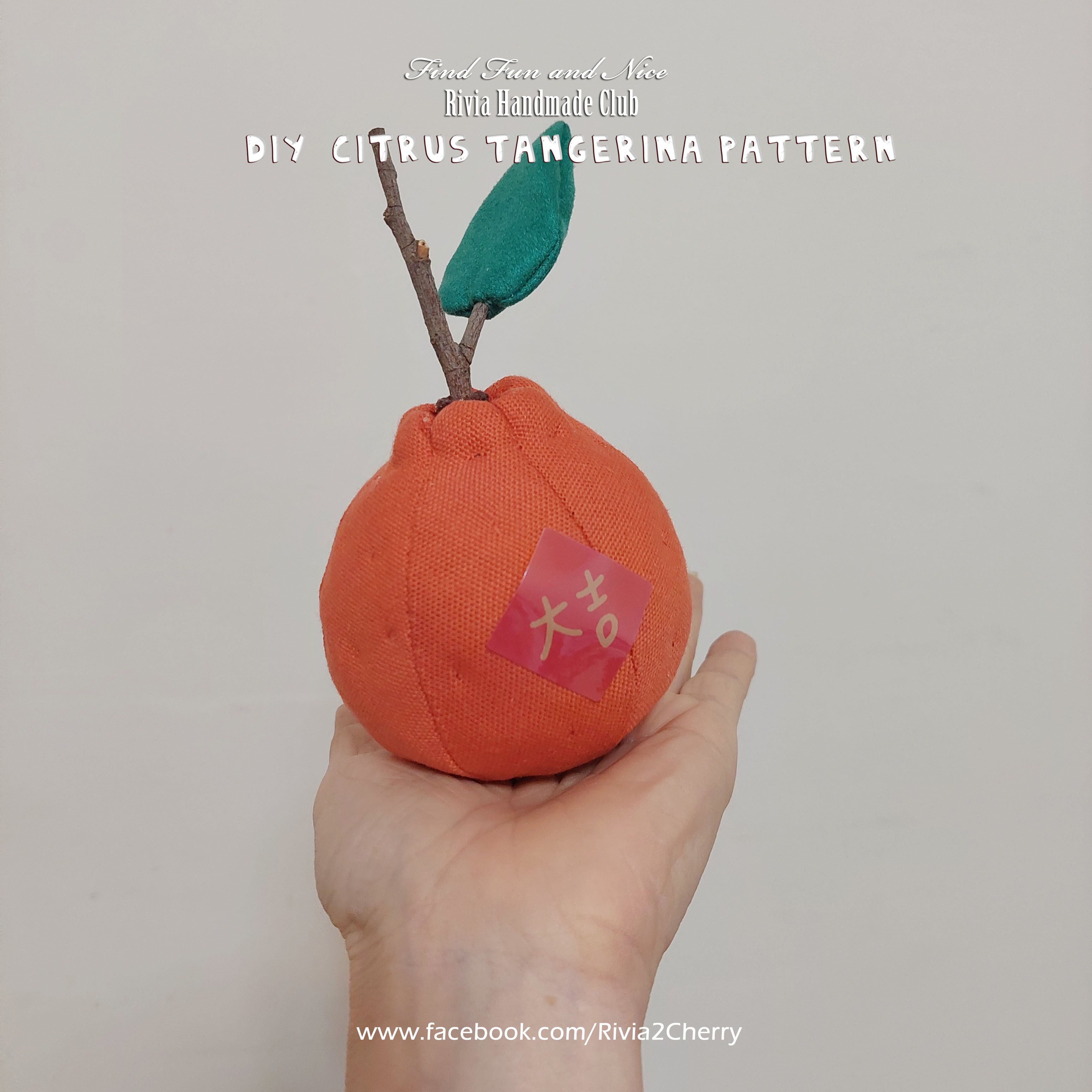 祝福符碼-大桔大利（DIY製作圖紙本）