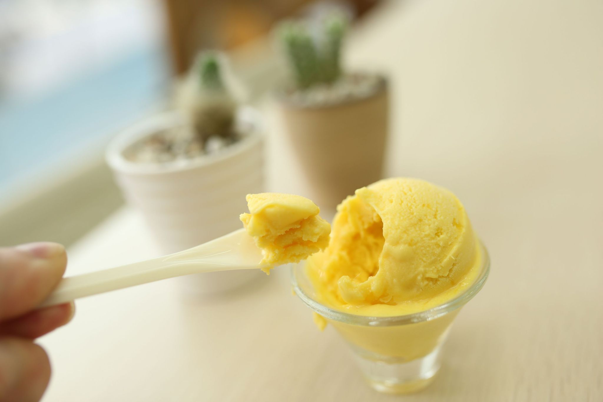 夏日星芒/芒果優格/美味惡魔冰淇淋