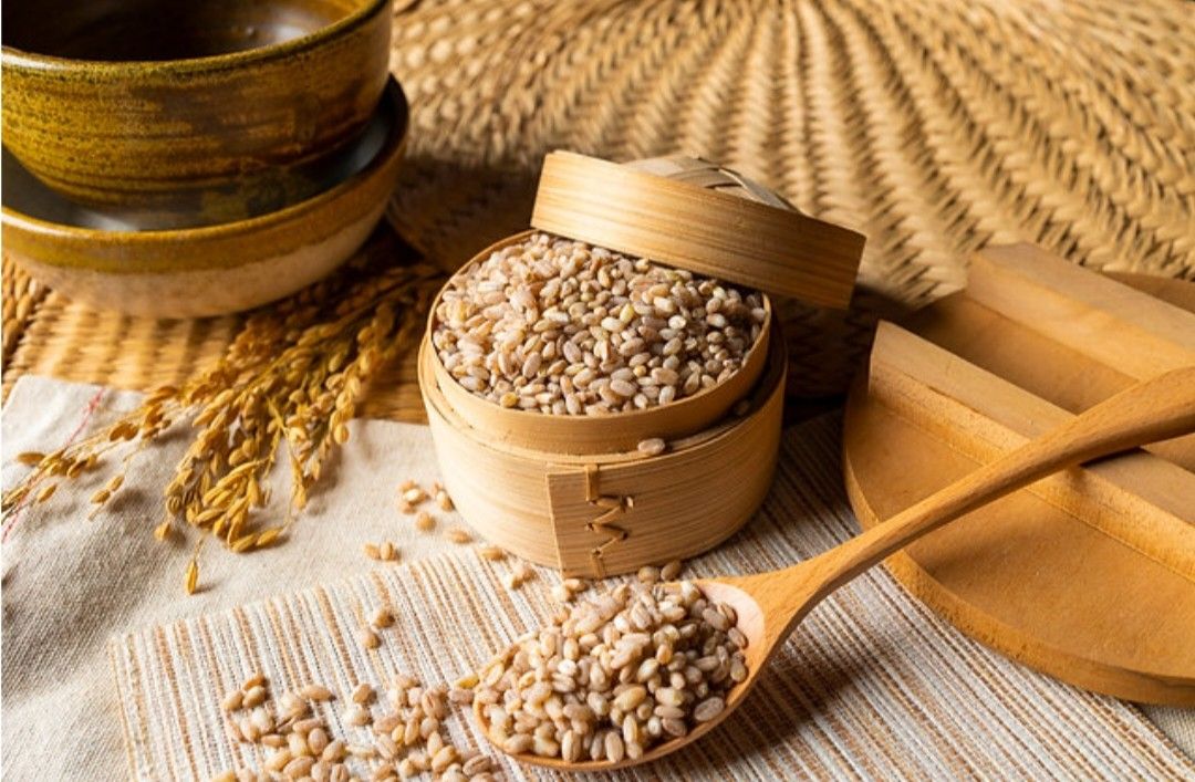 大城小麥 台灣小麥