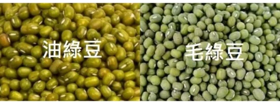 綠豆 油綠豆 粉綠豆（毛綠豆）