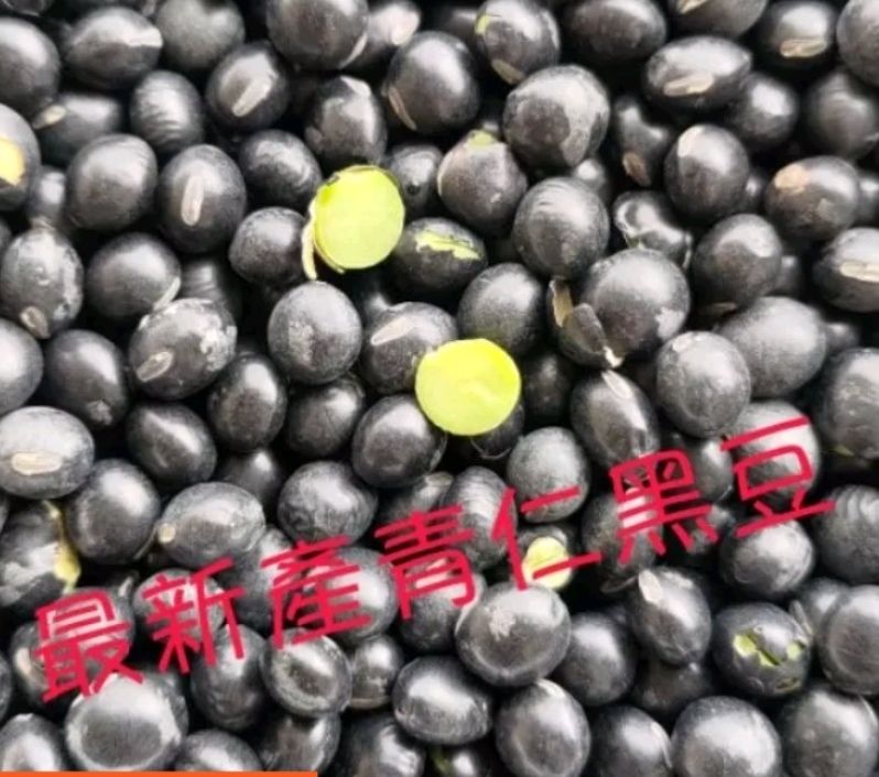 台灣 青仁黑豆 黑豆