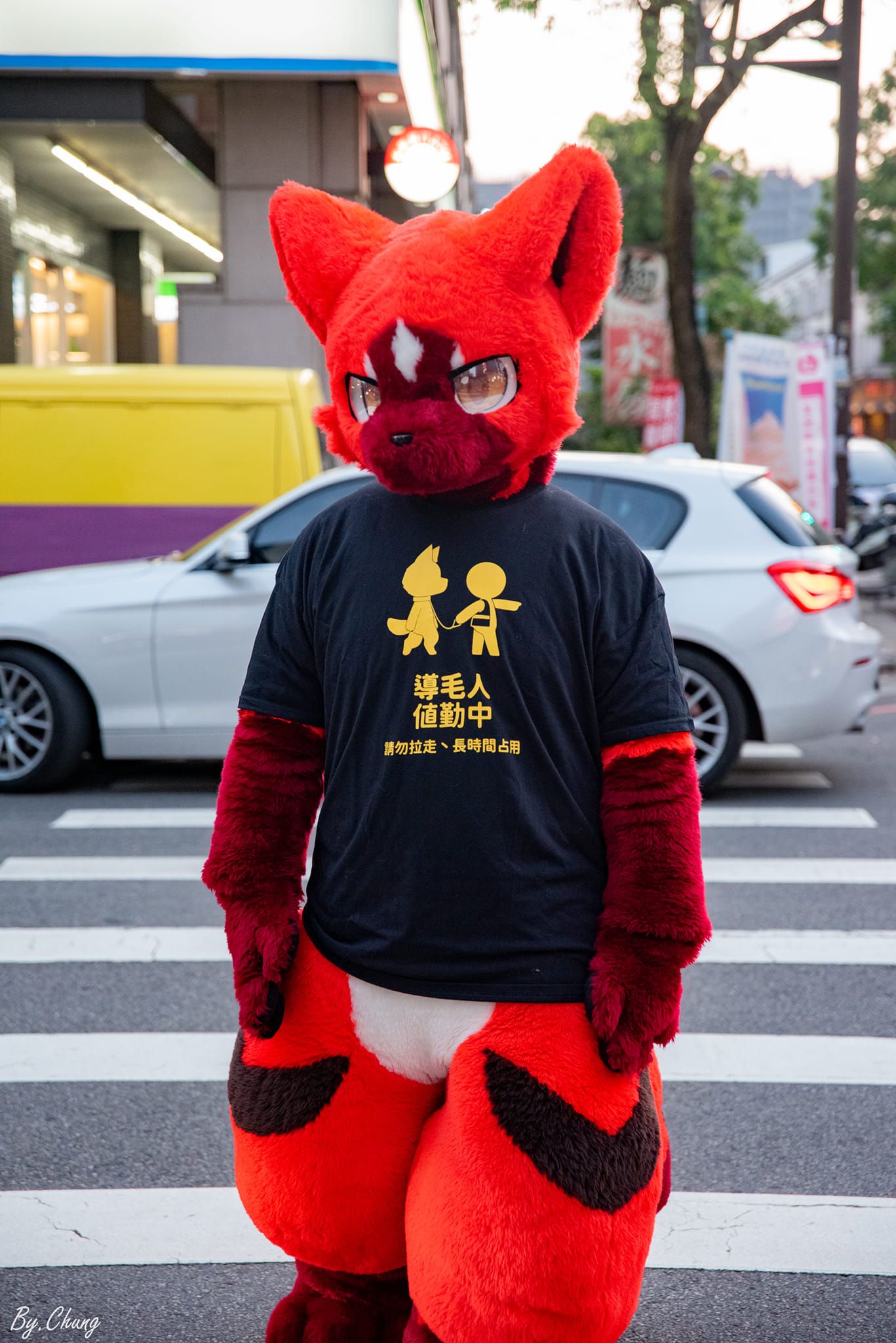 導毛人T-shirt
