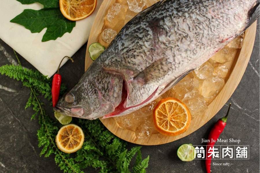鱸魚