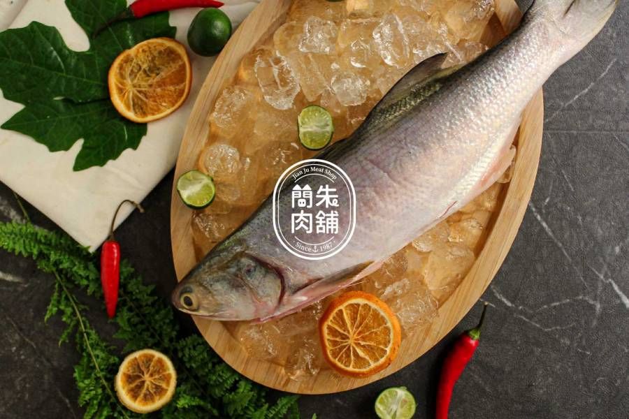 午魚