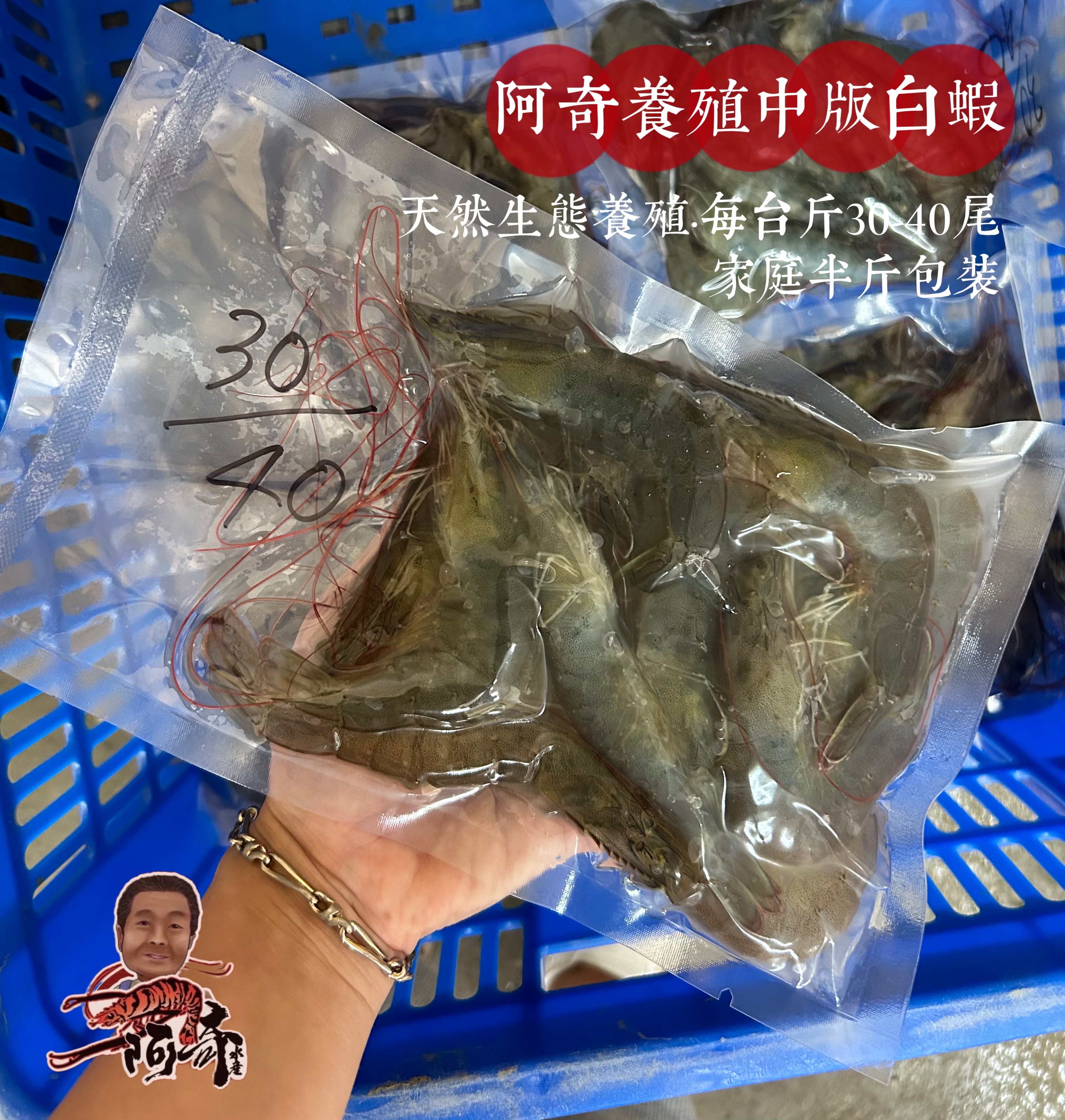 阿奇養殖｜益生菌白蝦·半斤包