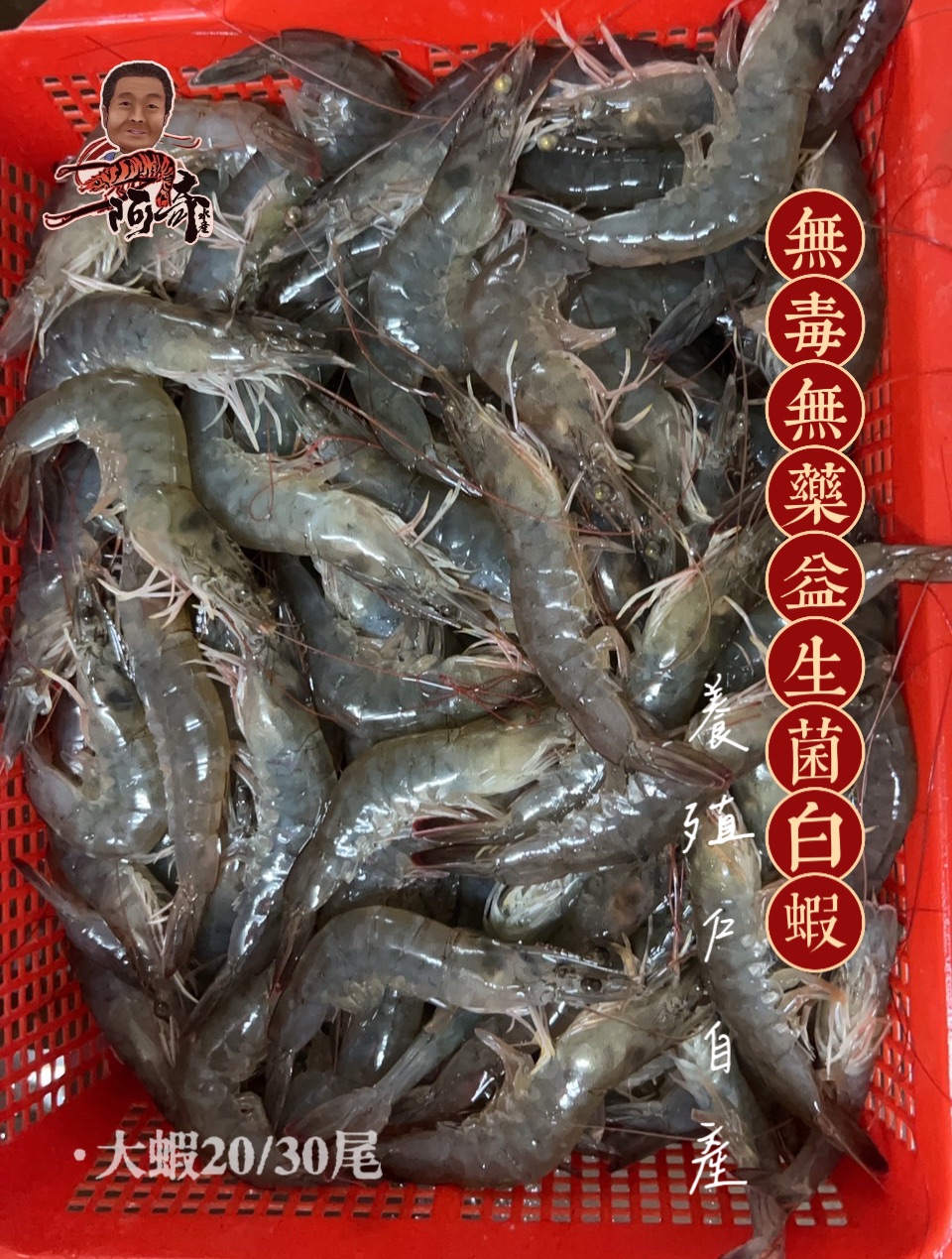 阿奇養殖｜益生菌白蝦·半斤包