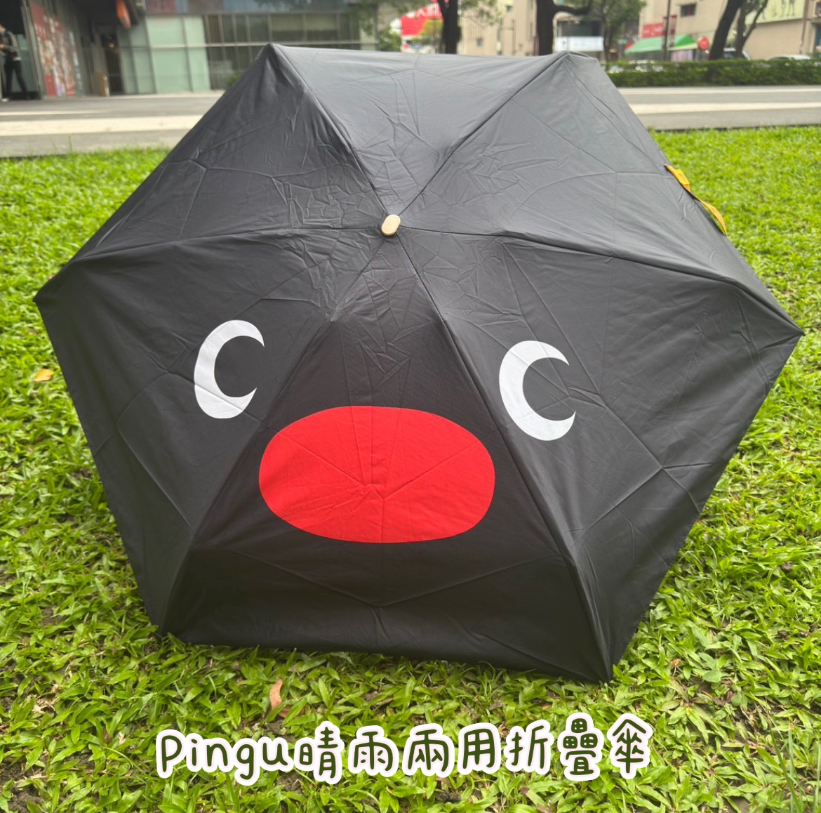 現貨 Pingu晴雨兩用傘