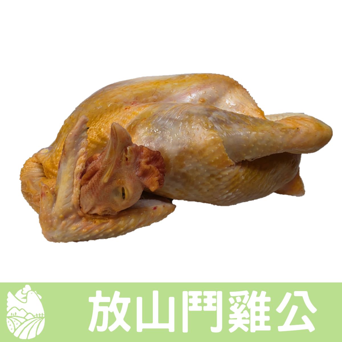 🐓縱谷傍山雞🐓放山鬥雞公3000克
