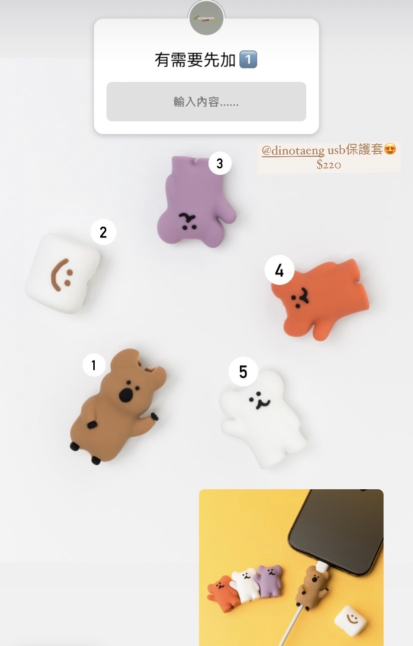DINOTAENG USB 保護❣️