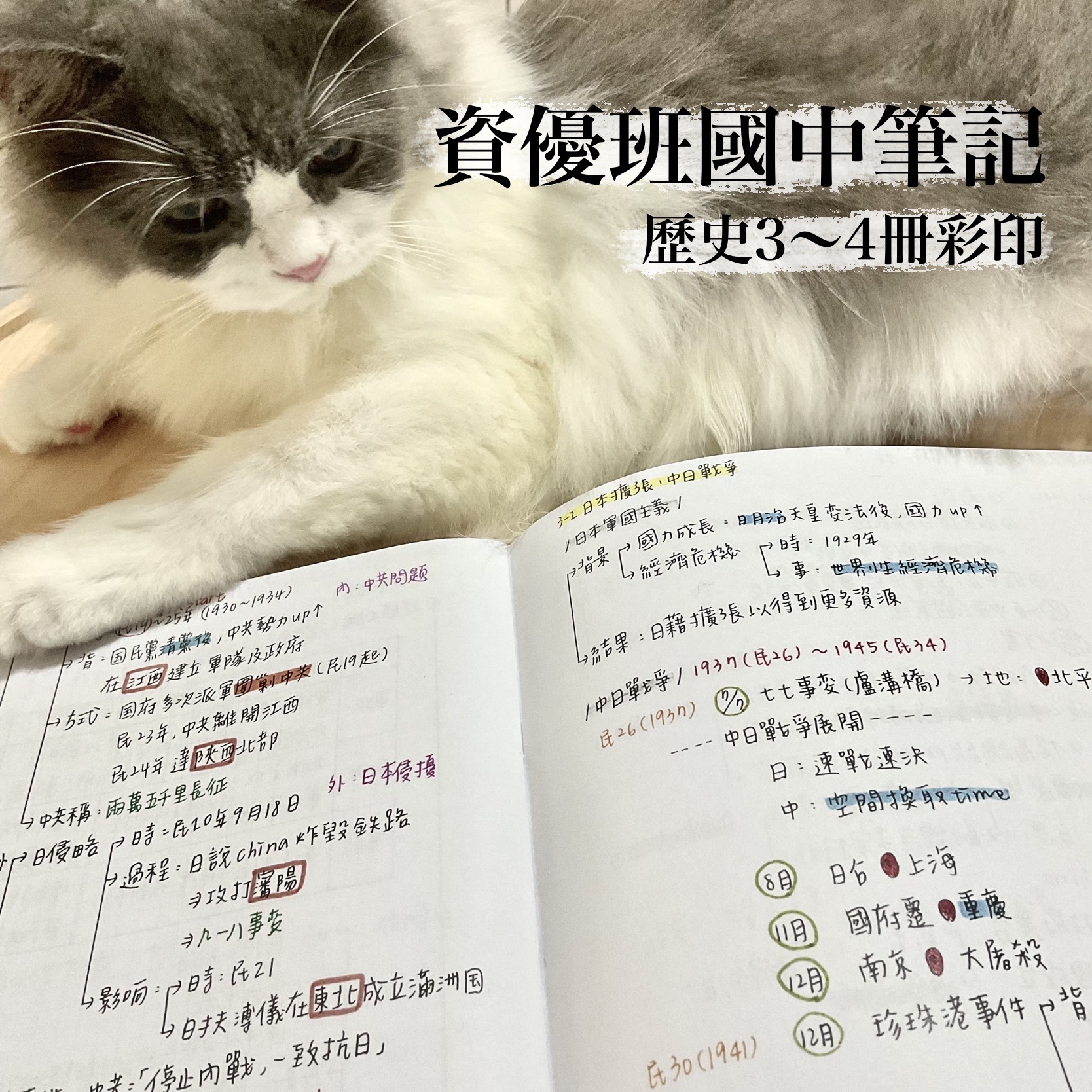 國中會考筆記｜資優班｜108課綱🌷｜歷史3、4冊（彩色）時間軸/表格/考點/心智圖｜Mei梅