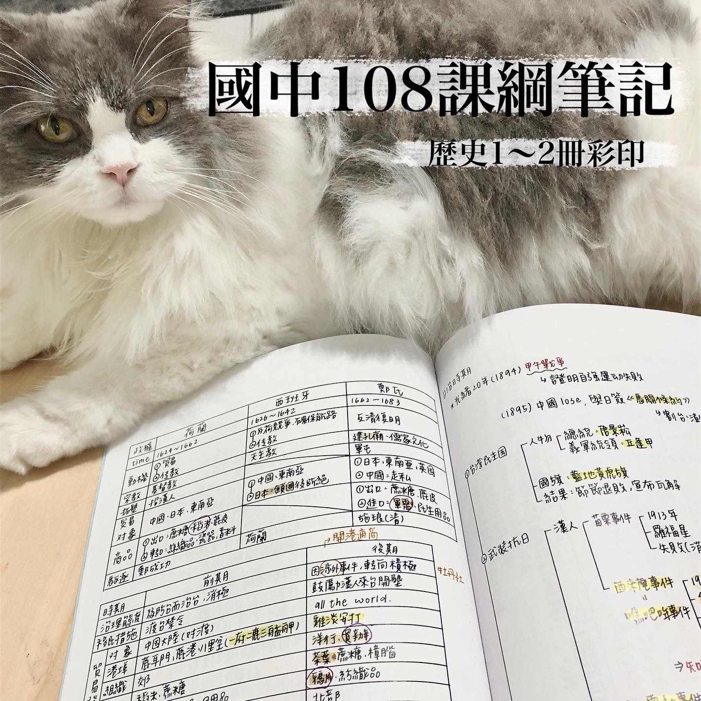 國中會考筆記｜資優班｜108課綱🫧｜歷史1、2冊（彩色）時間軸/表格/考點/心智圖｜Mei梅