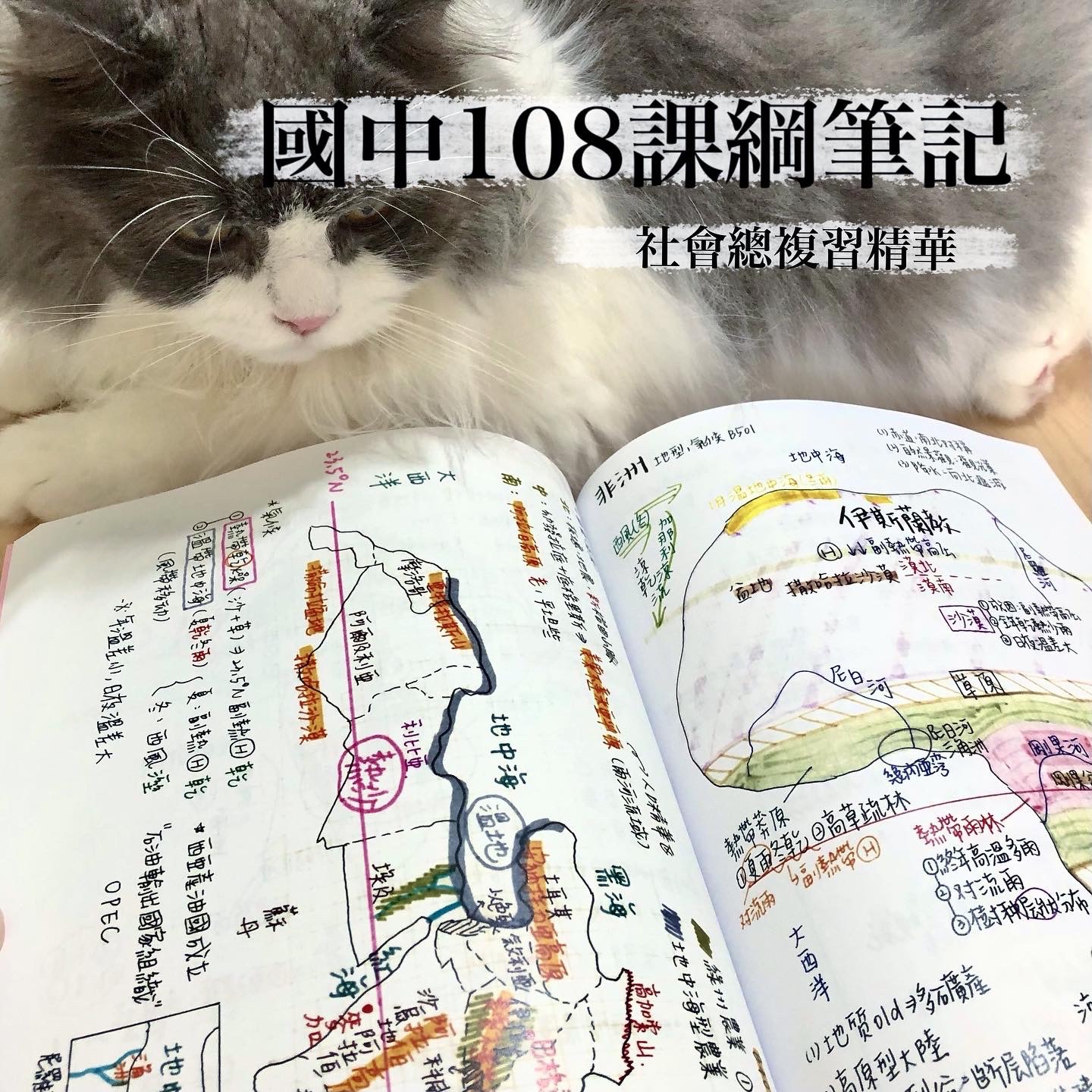 113會考筆記｜資優班｜108課綱🪐｜社會總複習精華（彩色）時間軸/表格/考點/心智圖｜Mei梅