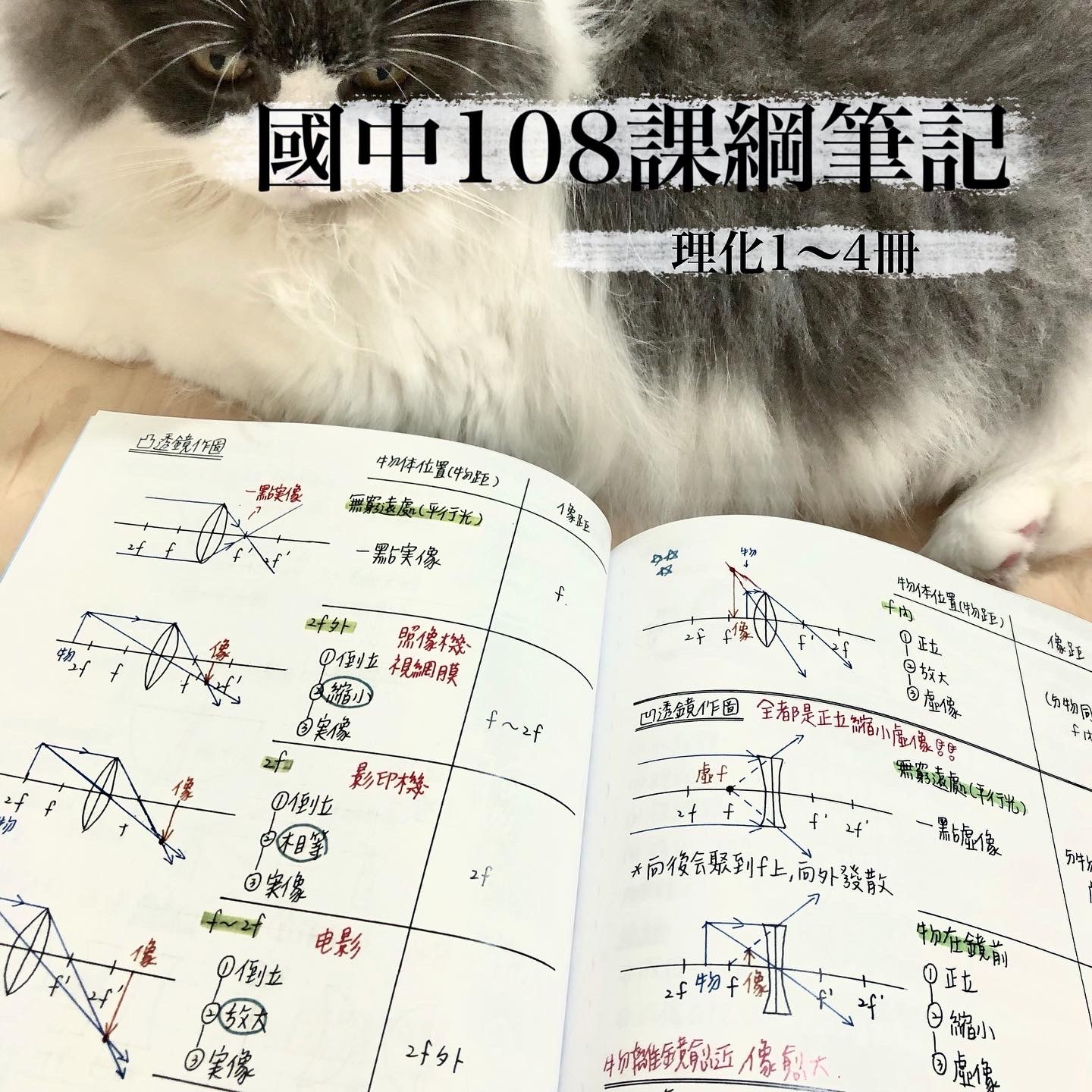 113會考筆記｜資優班｜108課綱🍁｜理化3、4冊（彩色）圖示/表格/考點/心智圖｜Mei梅