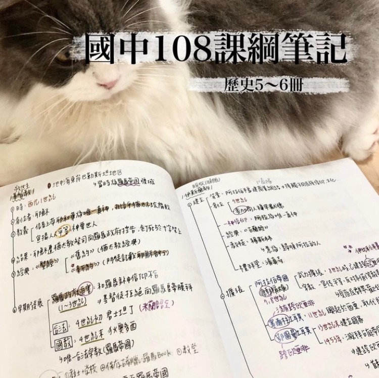 113會考筆記｜資優班｜108課綱🩷｜歷史5-6冊（彩色）圖示/表格/考點/心智圖｜Mei梅