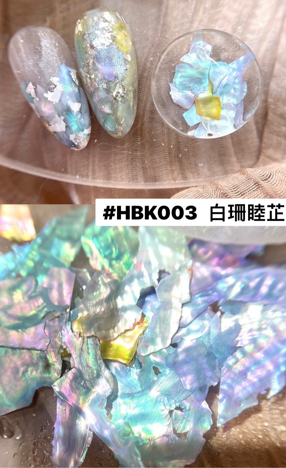 KiraByHuang|貝殼系列-1