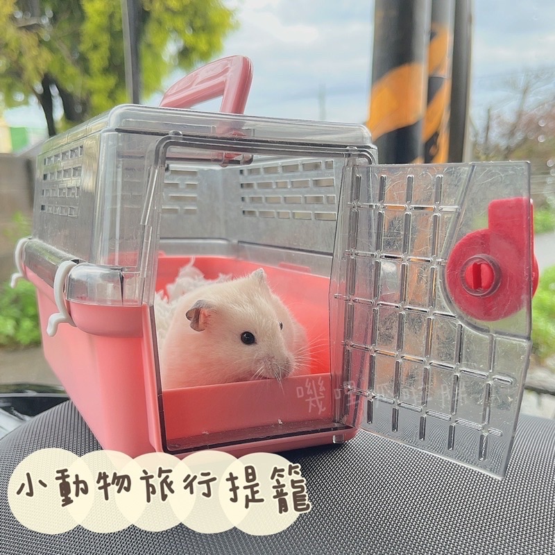 ACEPET愛思沛小動物旅行運輸籠