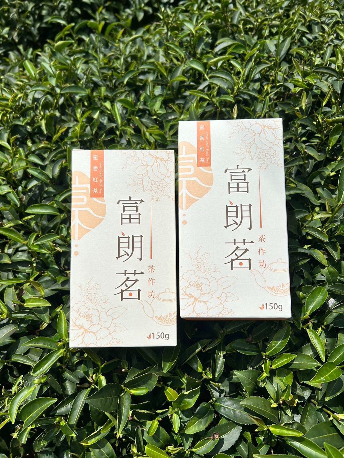 [富朗茗茶作]蜜香紅茶