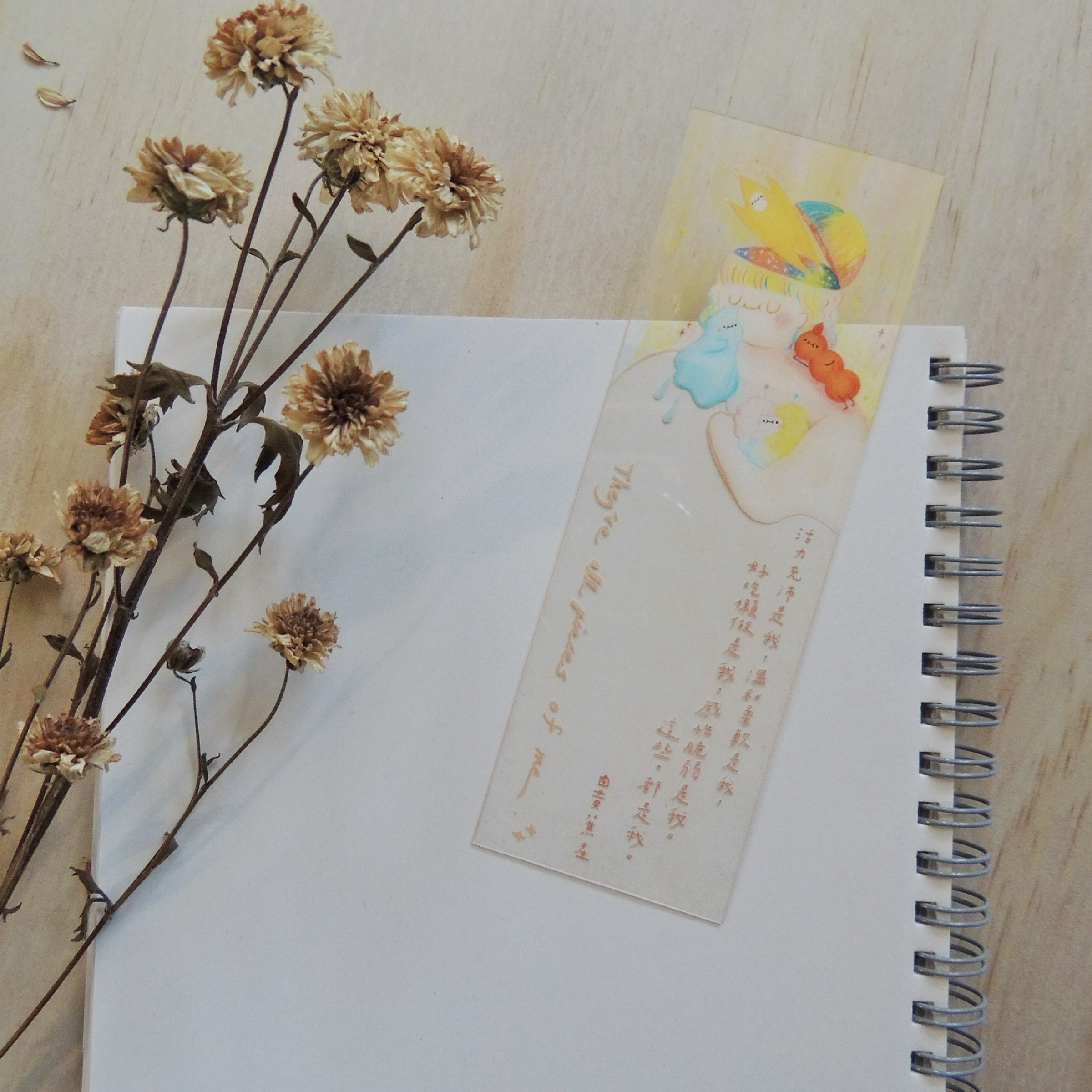 ✦ 全都是我 ✦ 透卡書籤