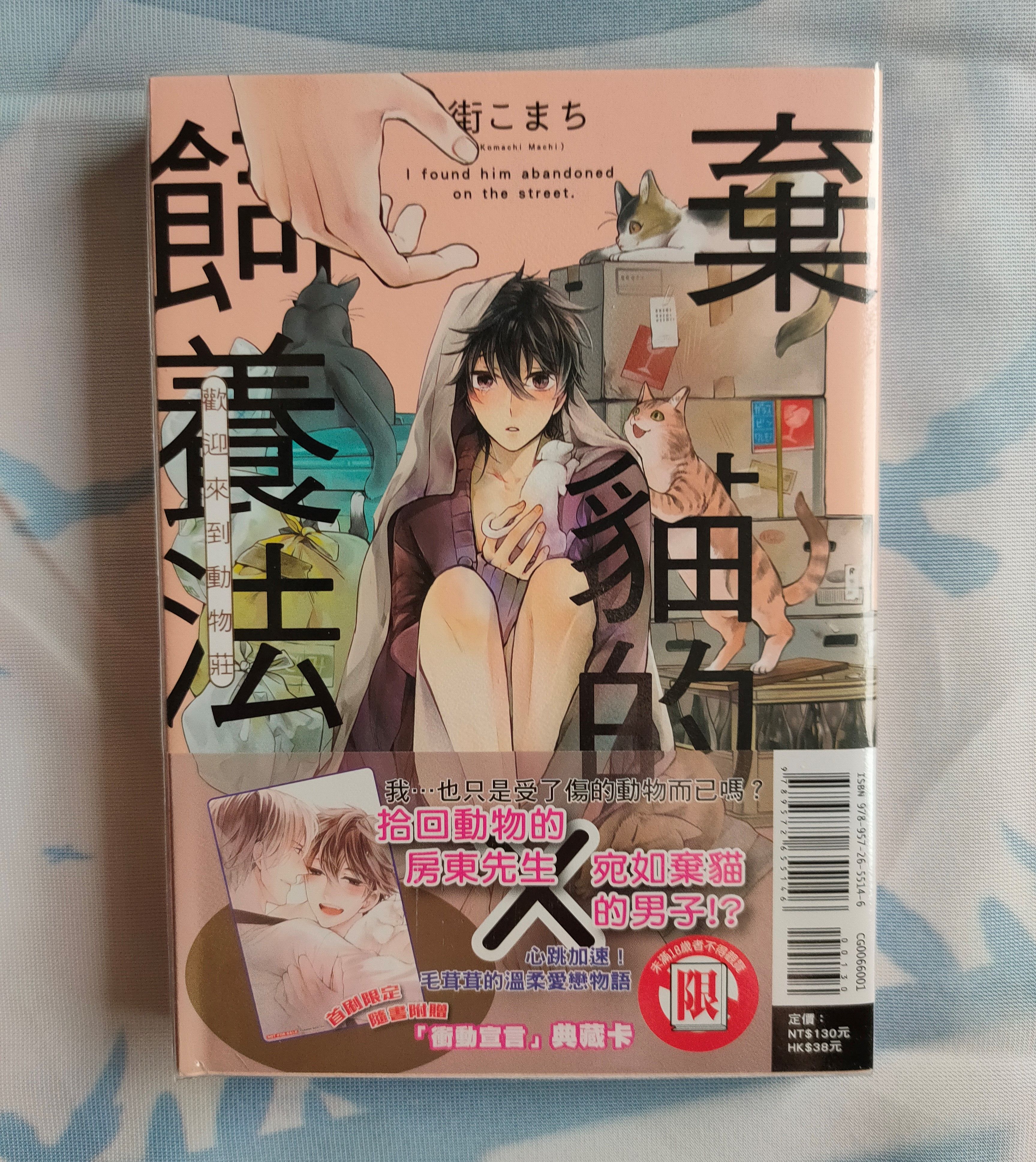 棄貓的飼養法