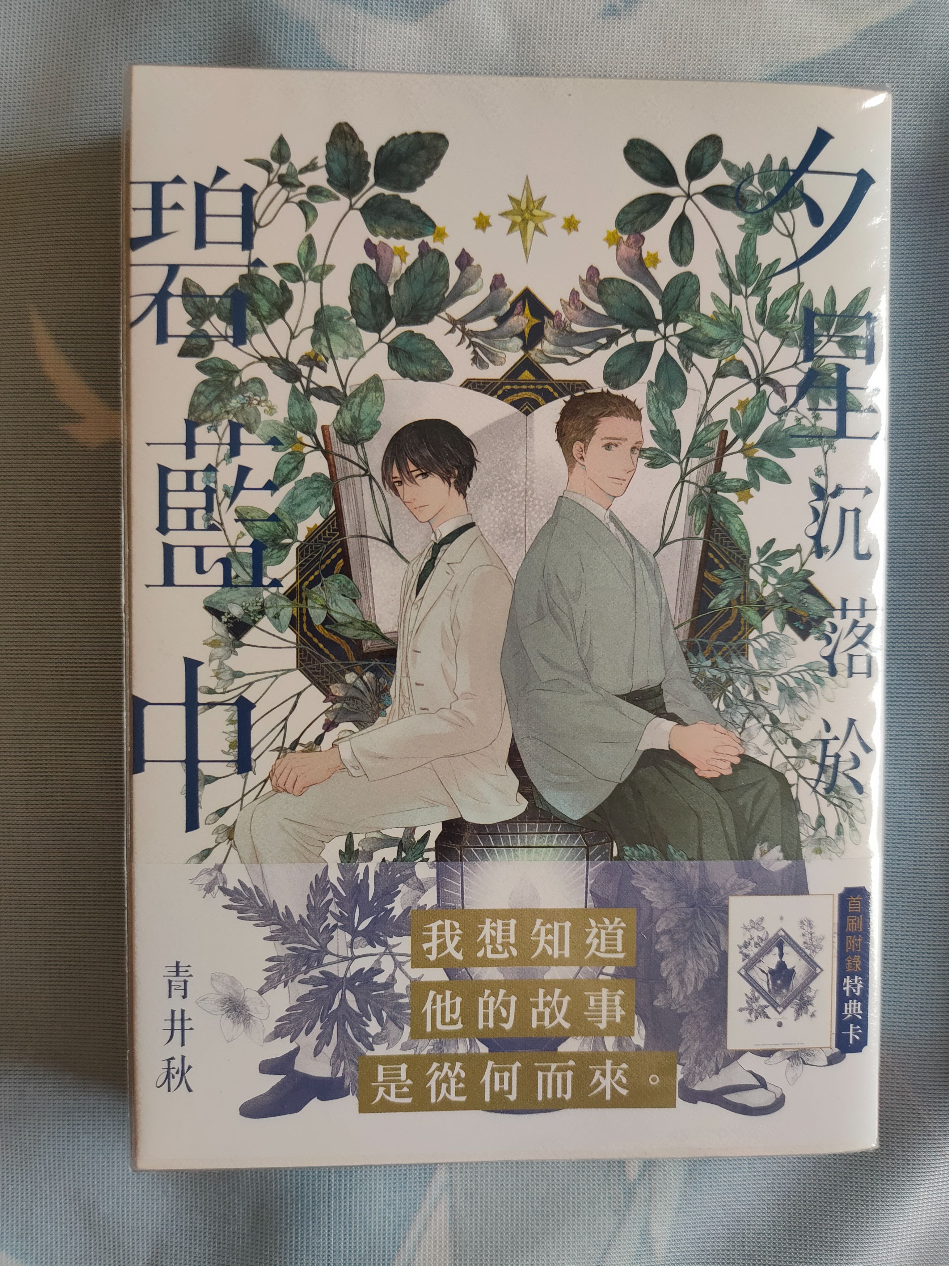 夕星沉落於碧藍中