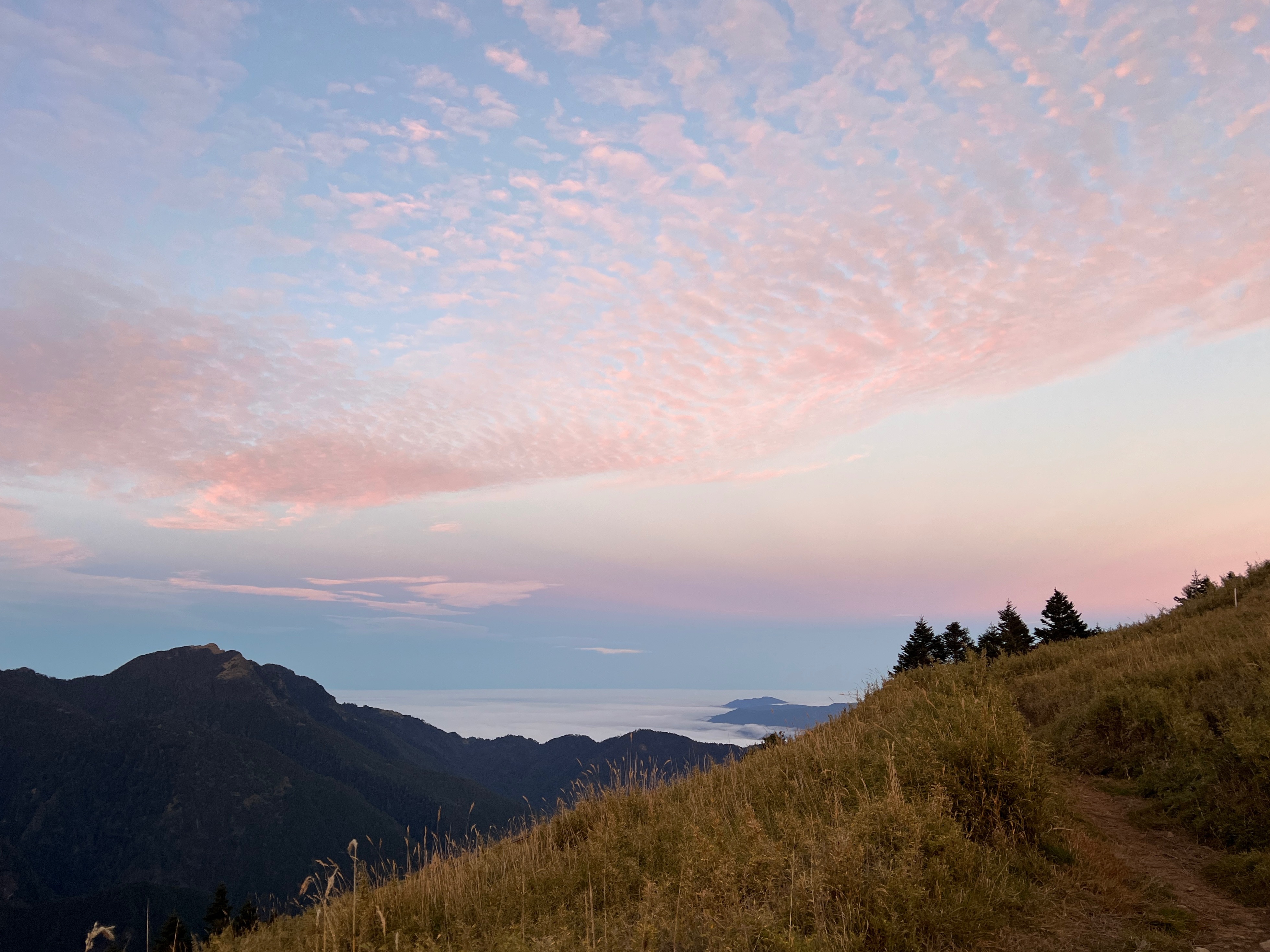私訊訂購單（賣場下單勿選）