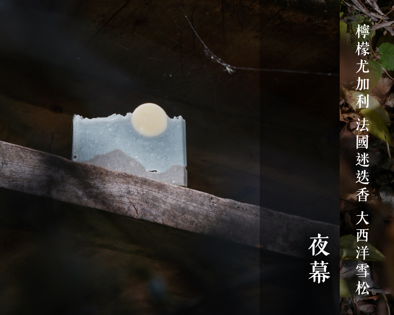 酪梨油基底系列